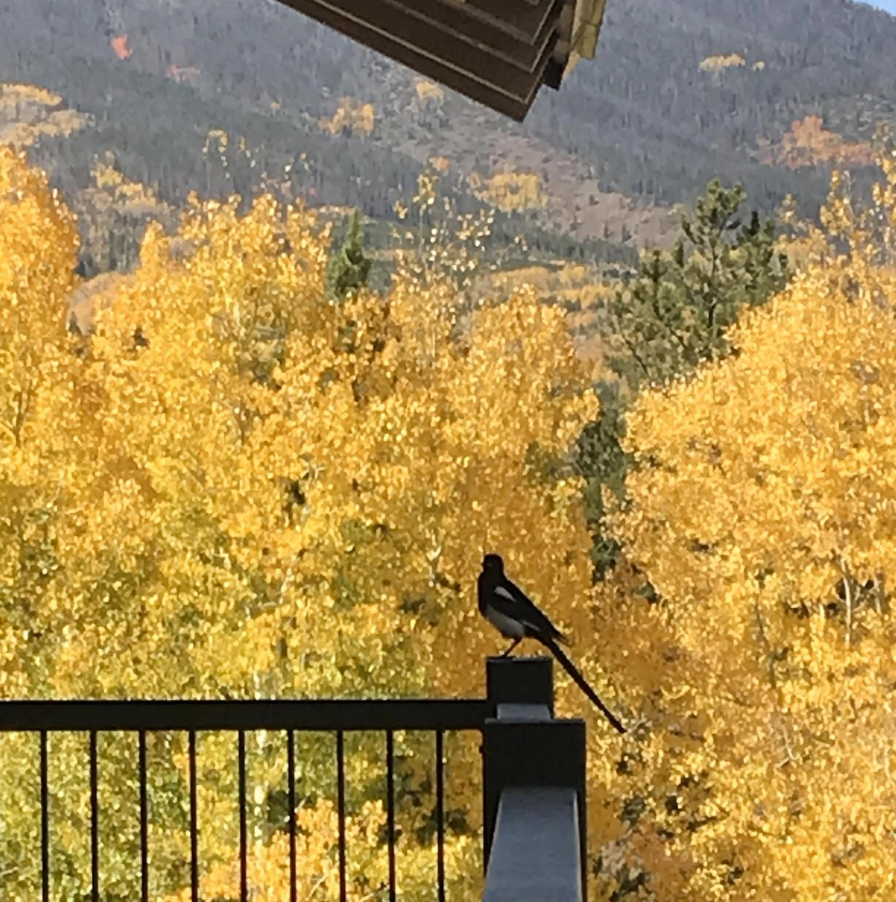 Natural landscape in Hideaway Mountain Lodge