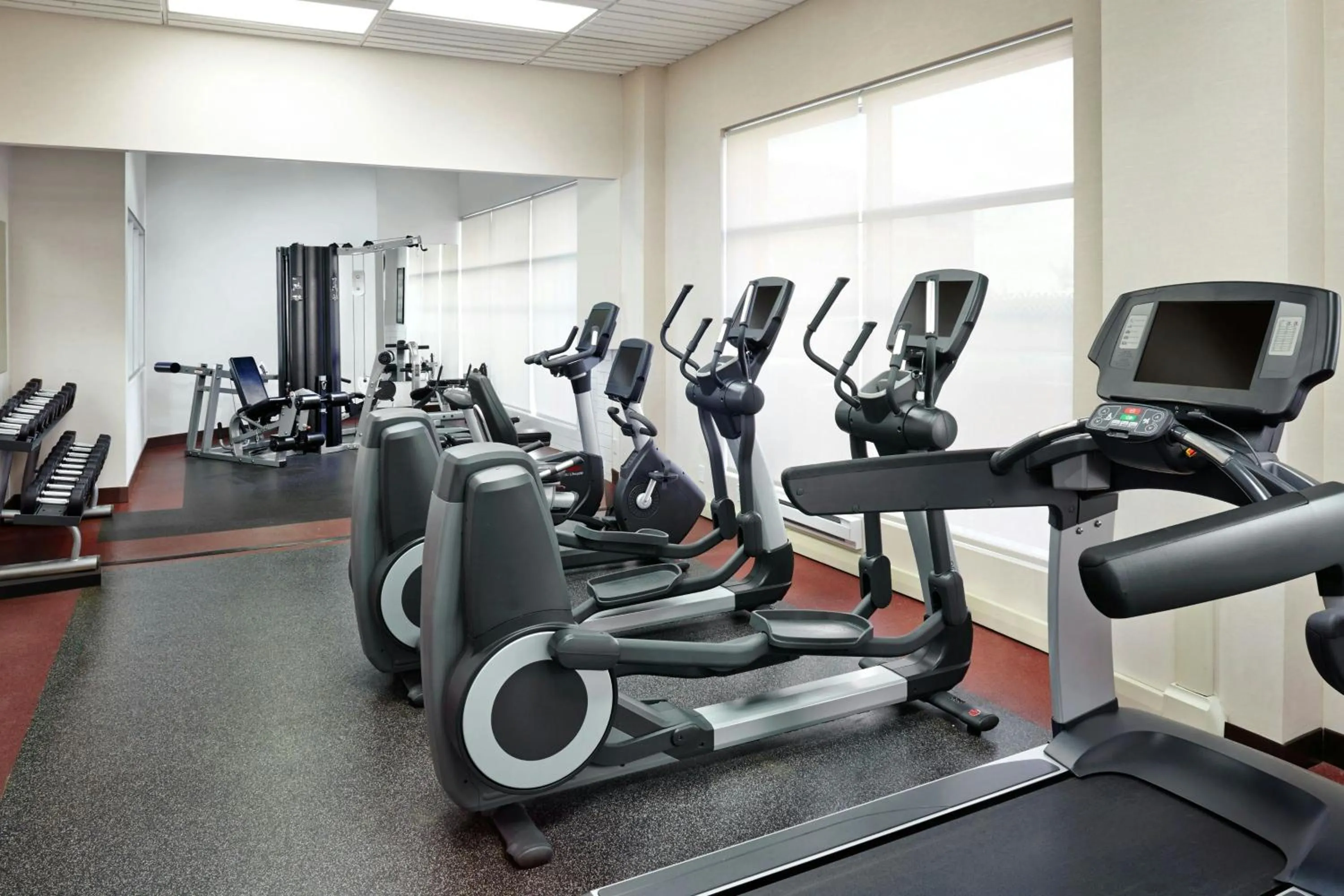 Fitness centre/facilities in Four Points by Sheraton Calgary Airport