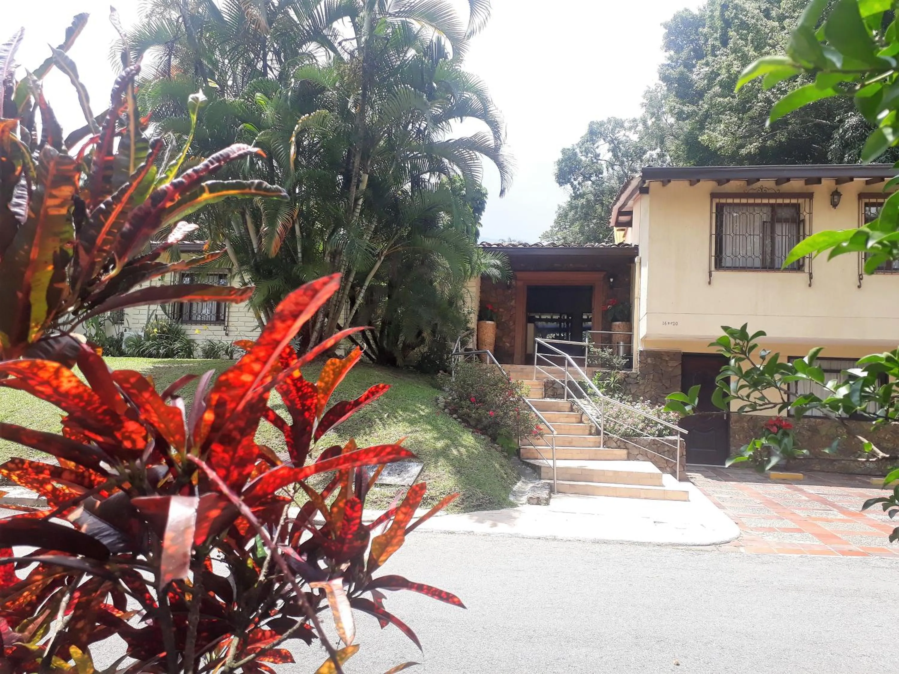 Garden in Hotel Poblado Campestre