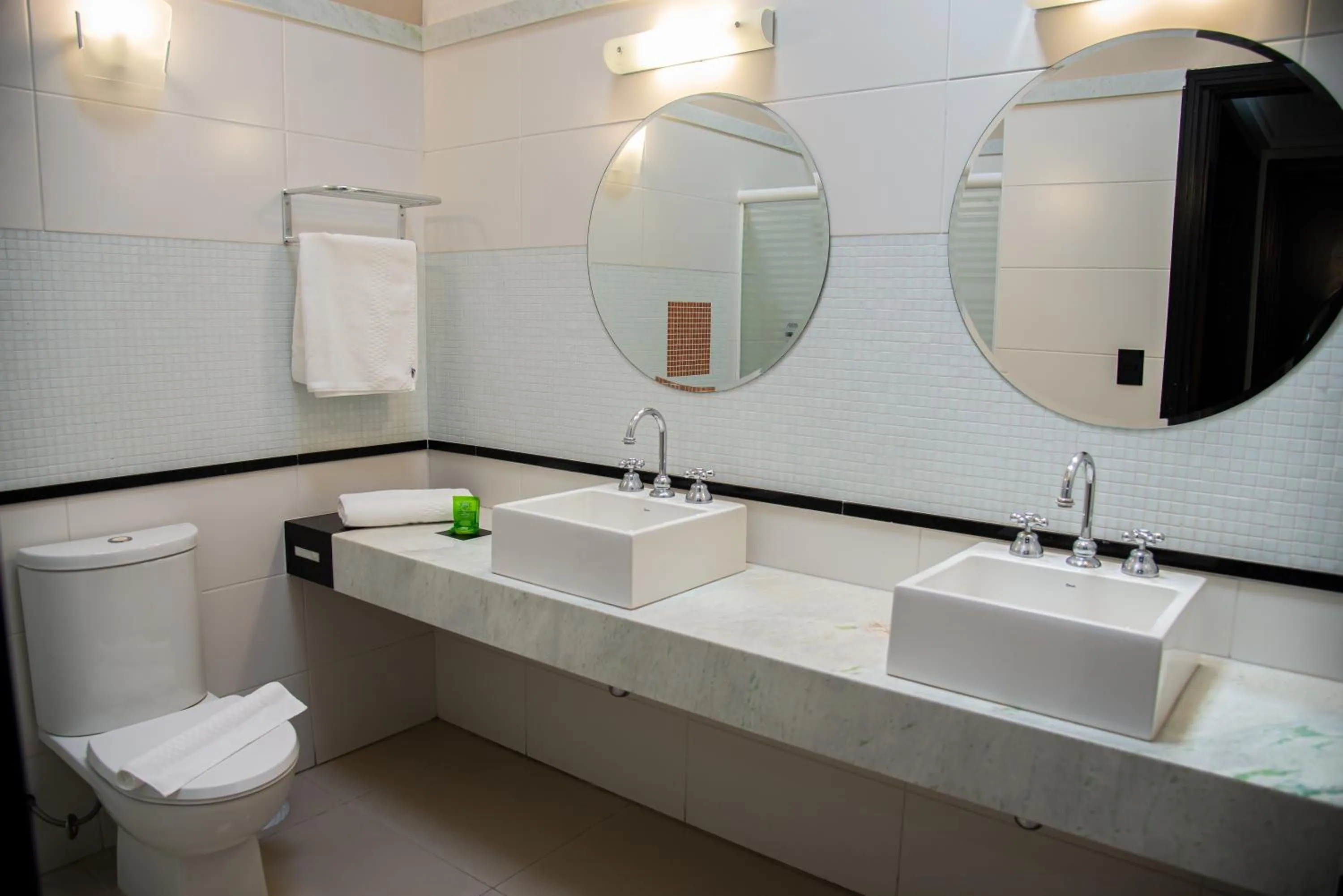 Bathroom in ibis Styles Rio Preto Monte Libano