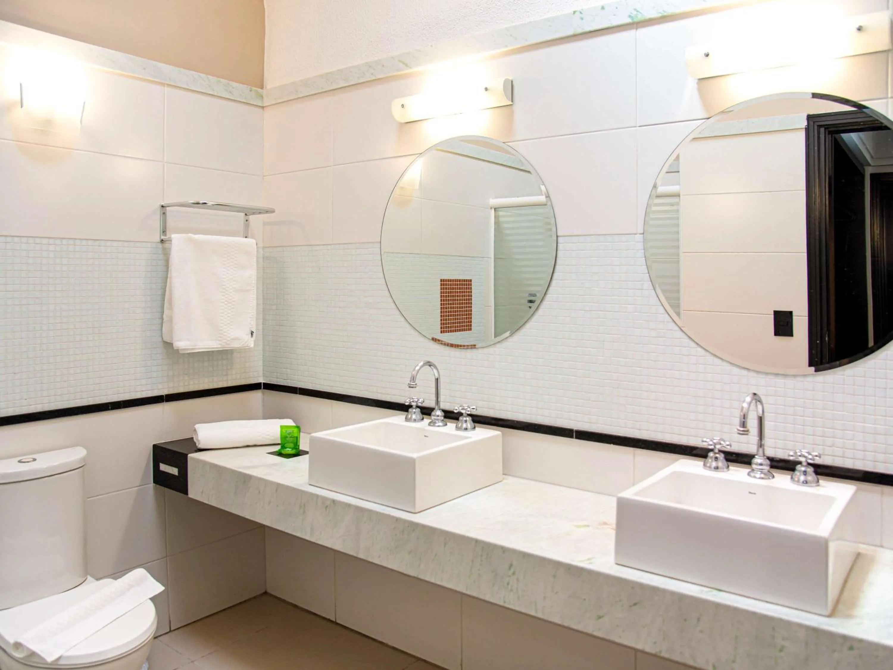 Bathroom in ibis Styles Rio Preto Monte Libano