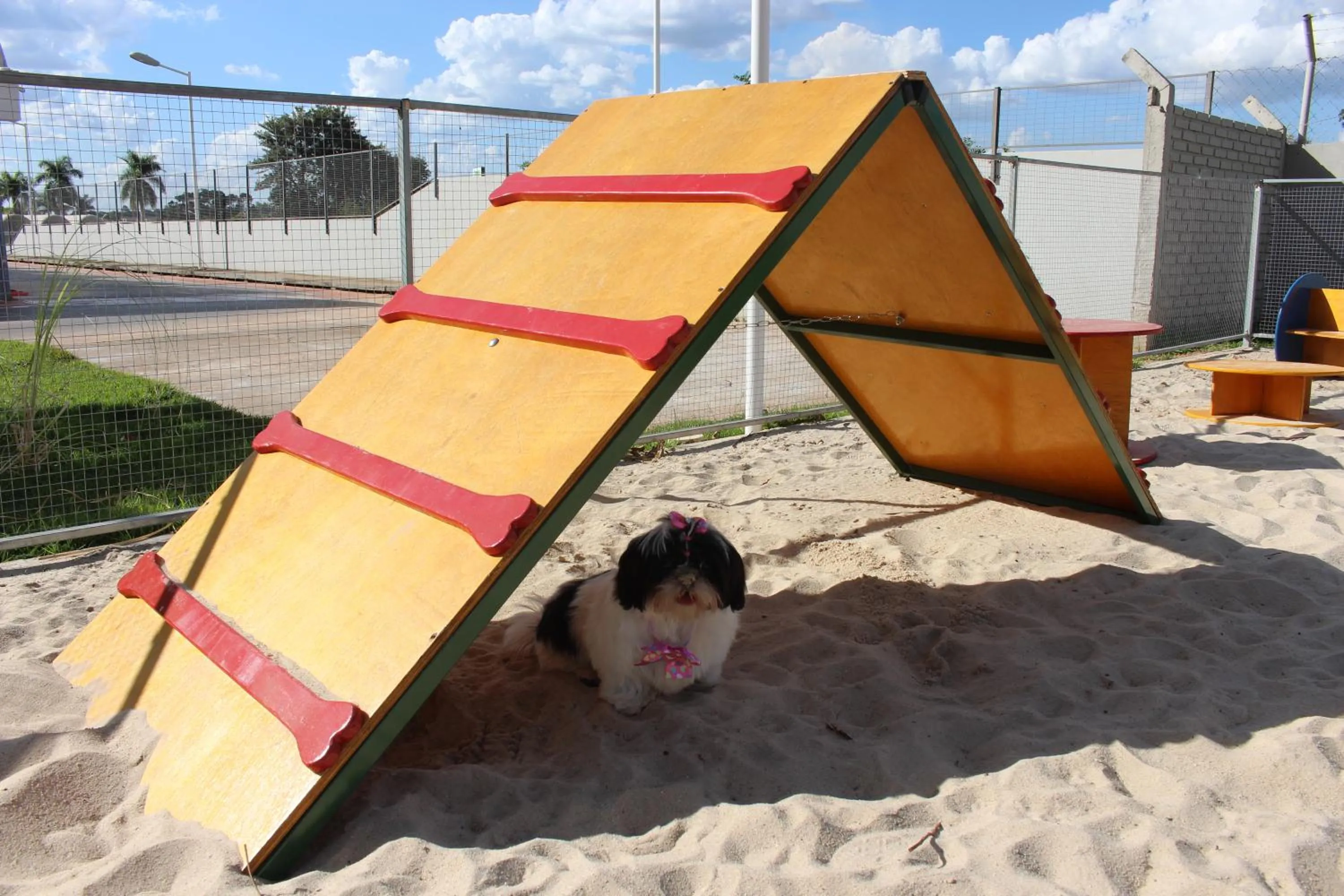 Pets in ibis Styles Rio Preto Monte Libano