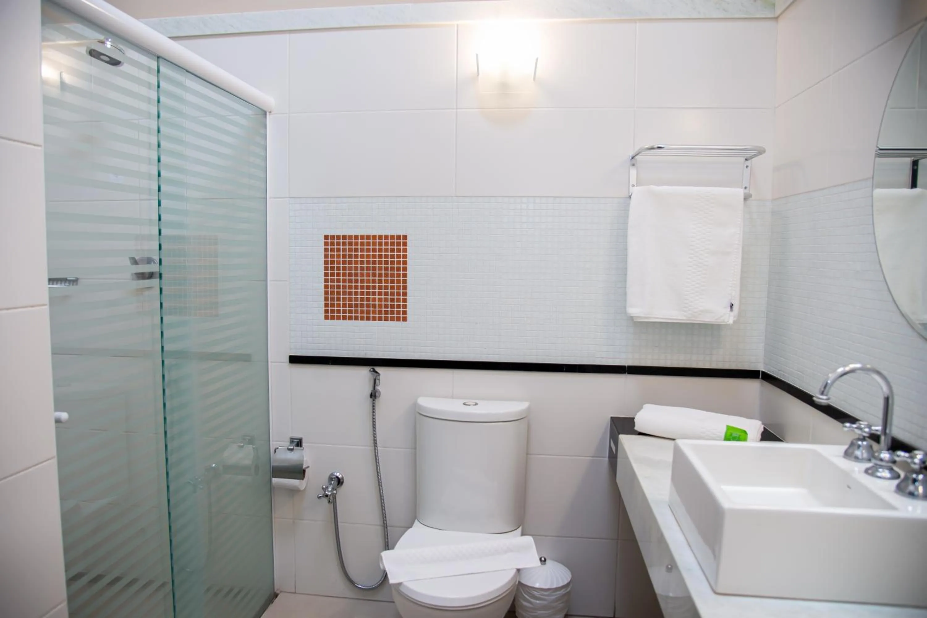 Bathroom in ibis Styles Rio Preto Monte Libano