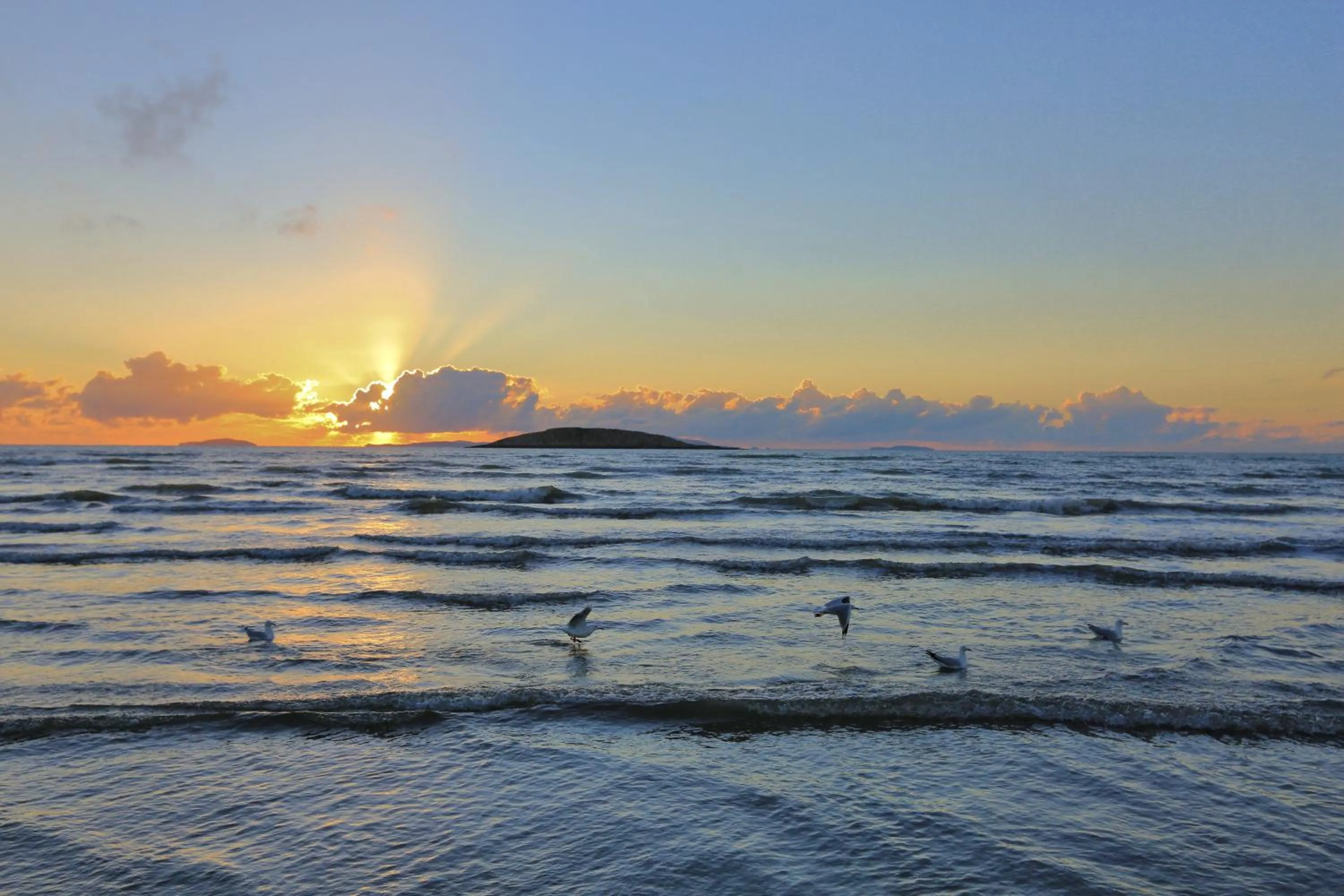 Beach in Discovery Parks - Coolwaters, Yeppoon