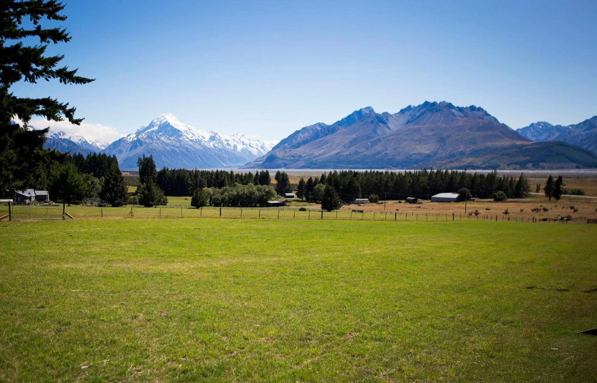 Natural landscape in Glentanner Park Centre