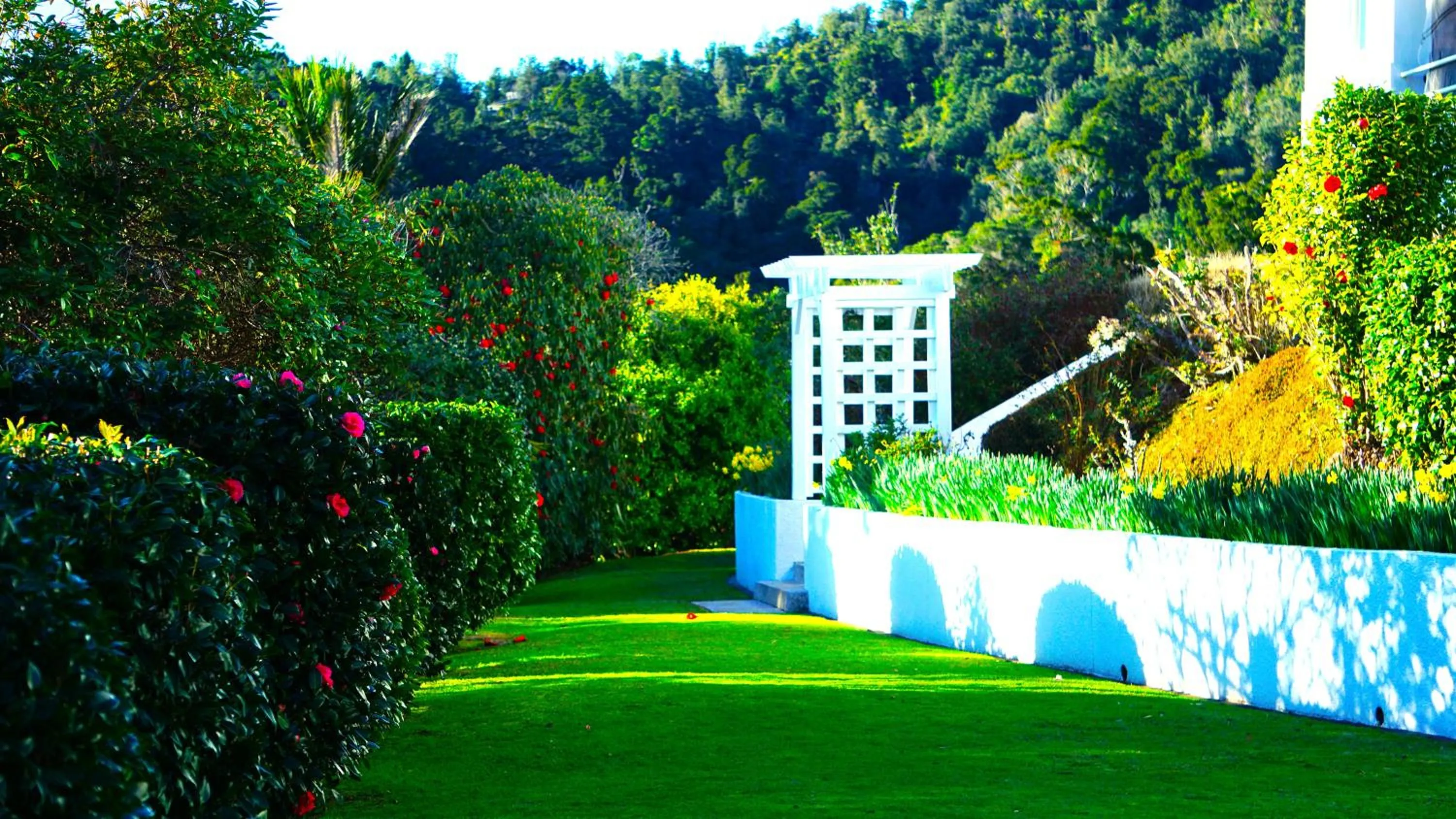 Waitakere Resort & Spa