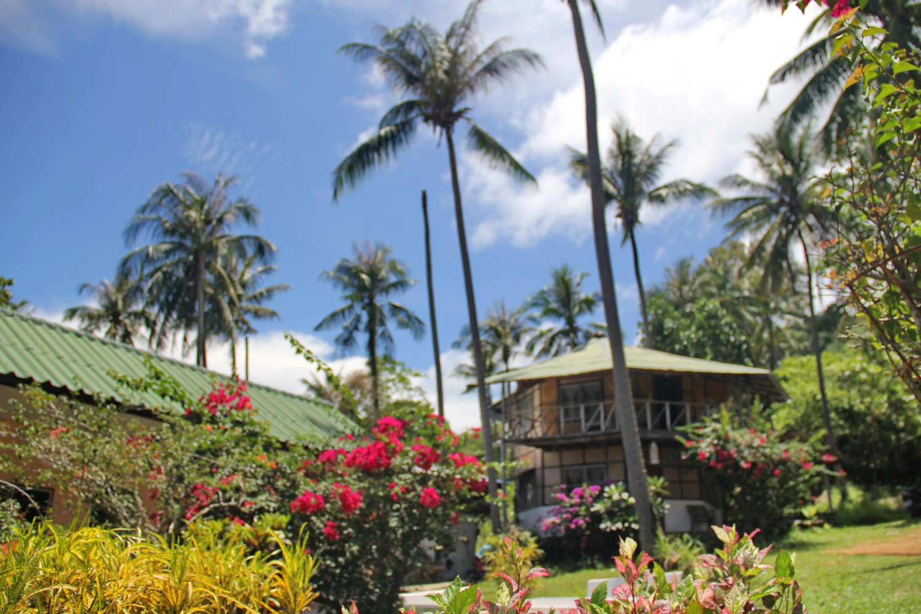 Property building in TP Hut Bungalows
