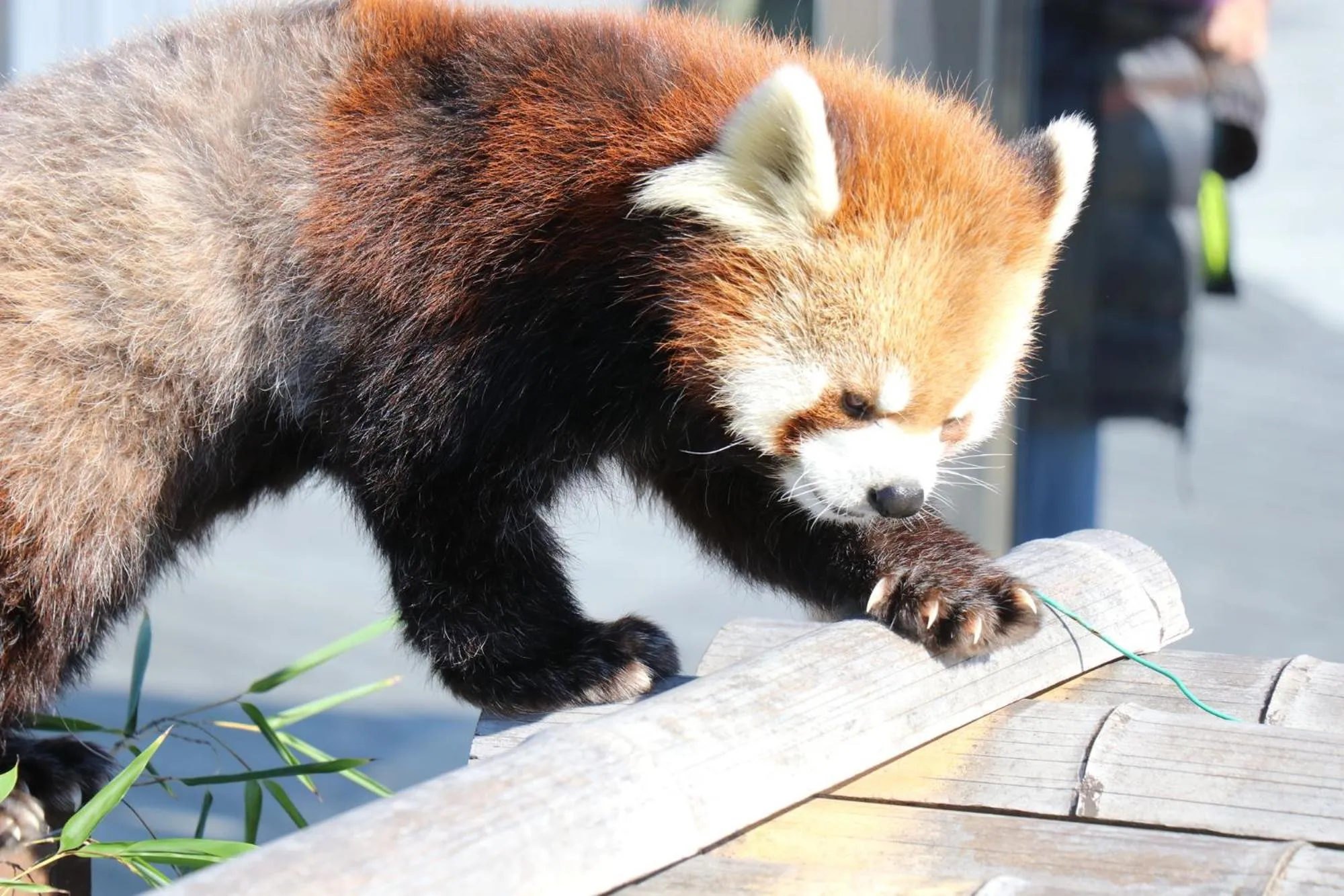 Nearby landmark in Tabist HotelArflex Tokuyama Station