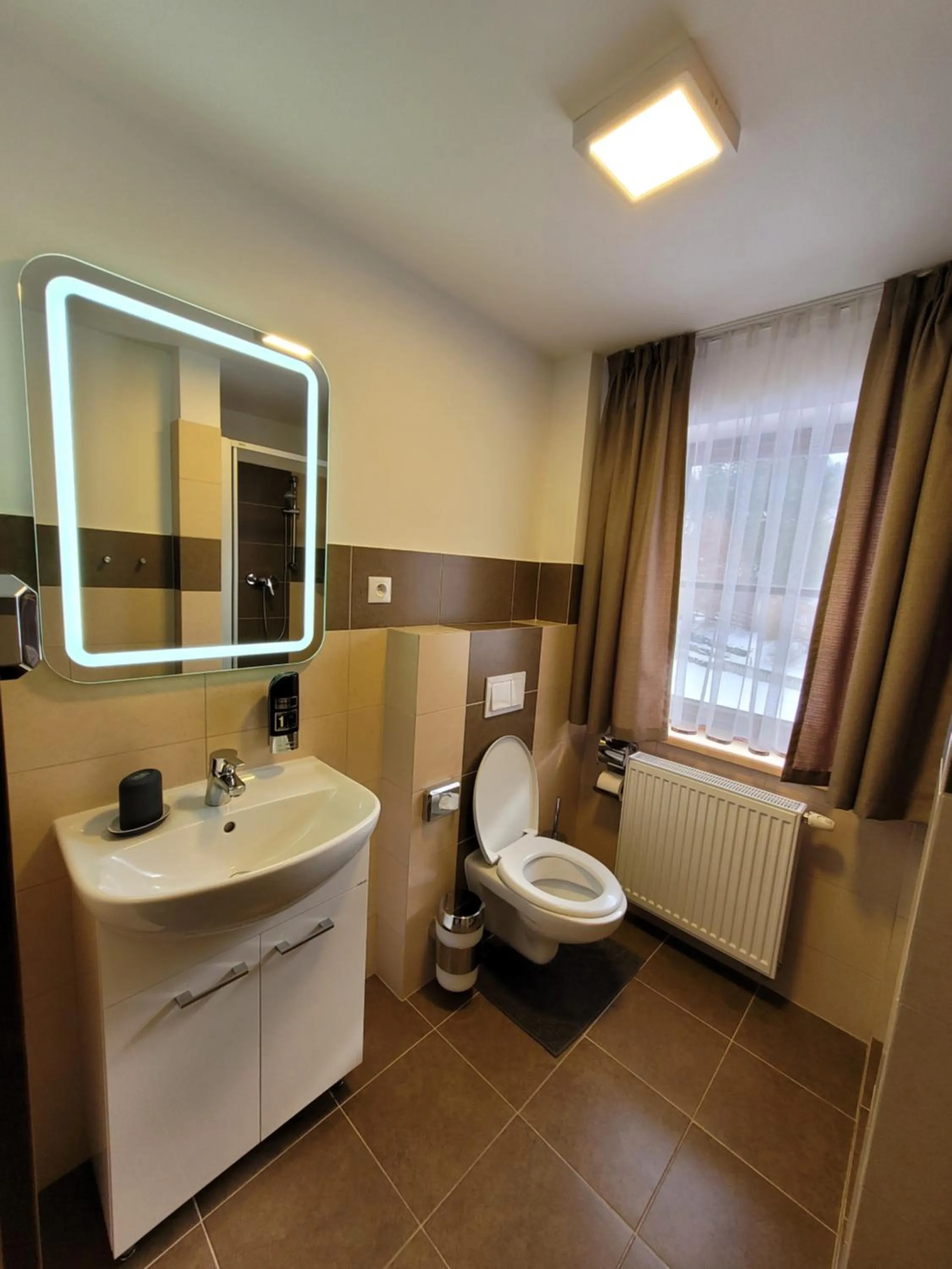 Toilet in Hotel STARÝ MLÝN