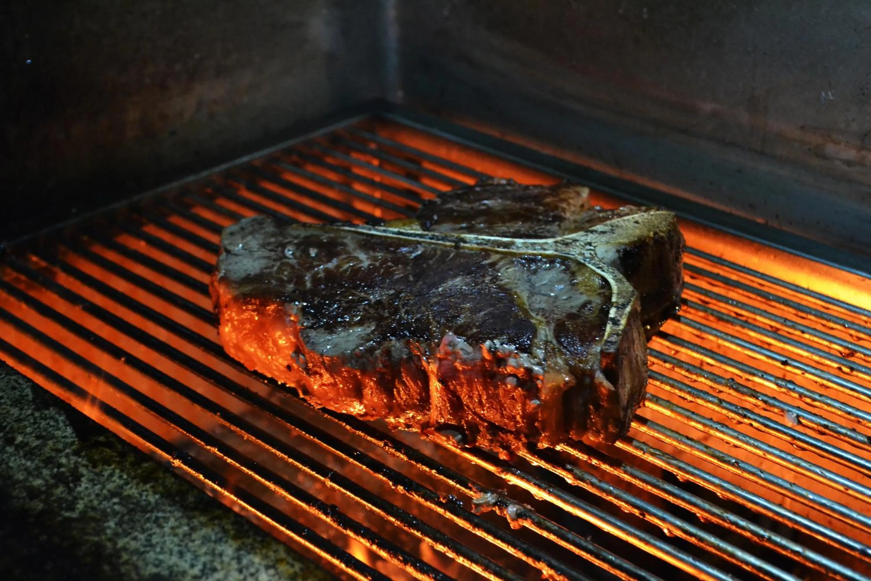BBQ facilities in Hotel STARÝ MLÝN