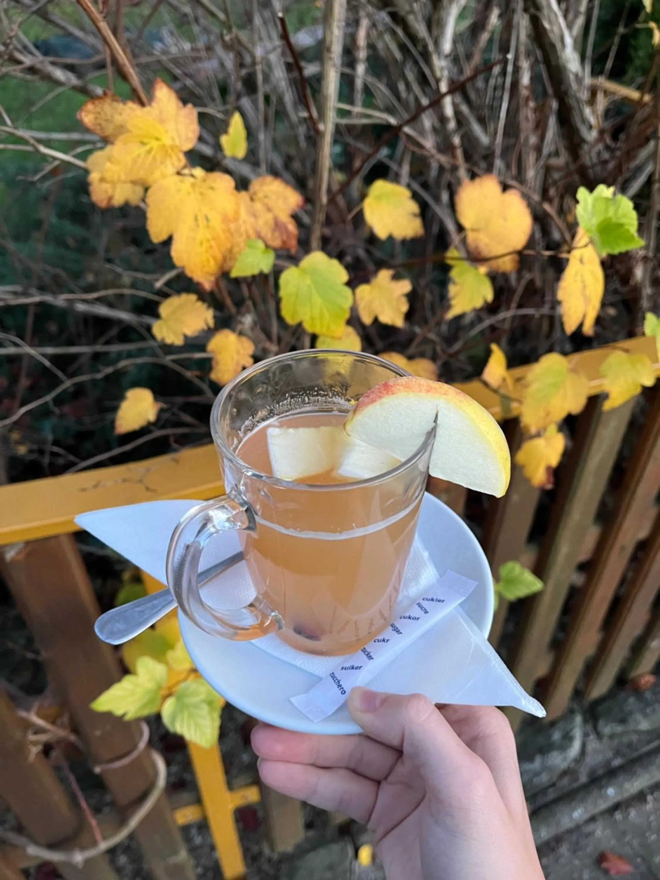 Food and drinks in Hotel STARÝ MLÝN