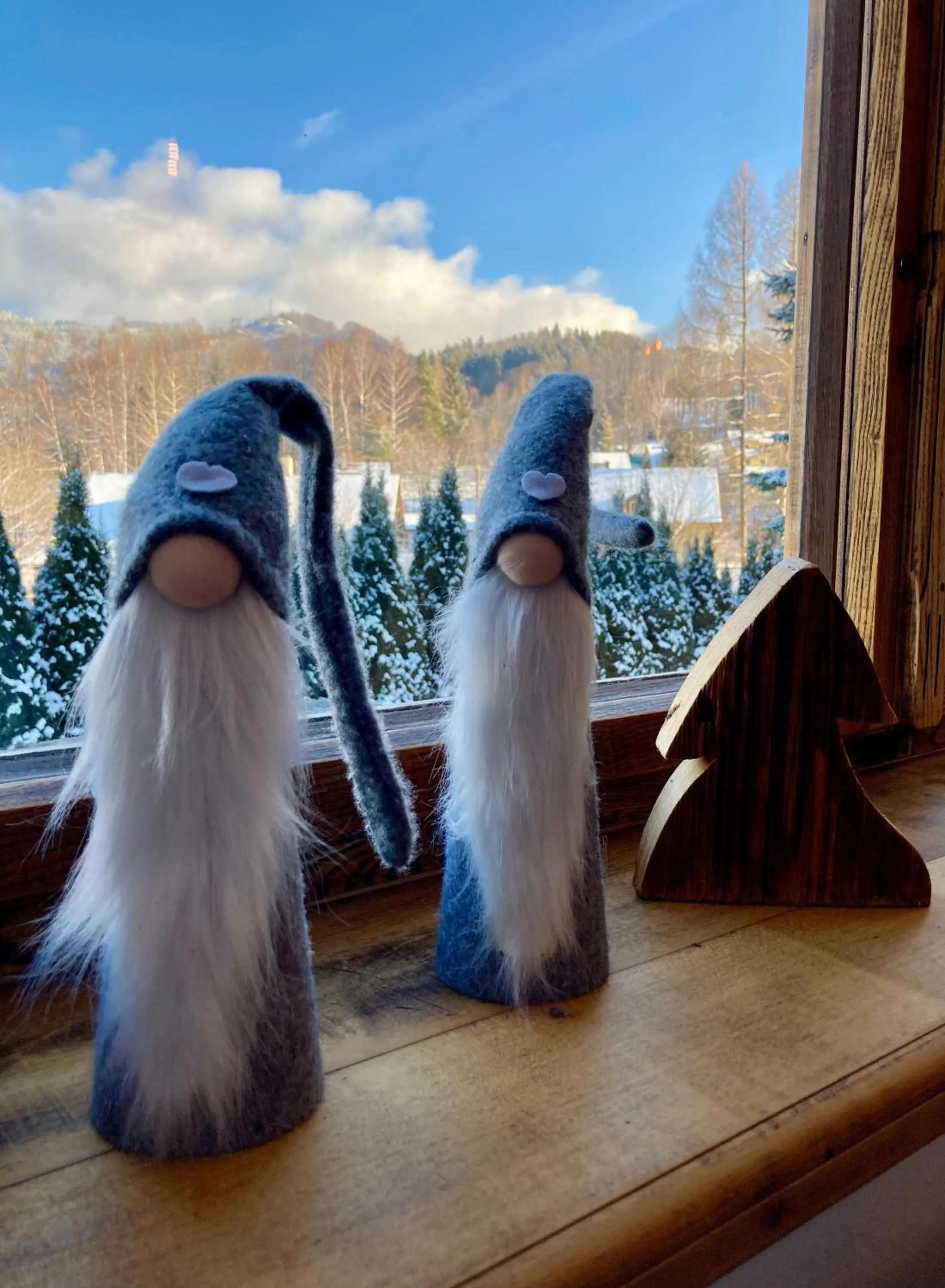 Winter in Hotel STARÝ MLÝN