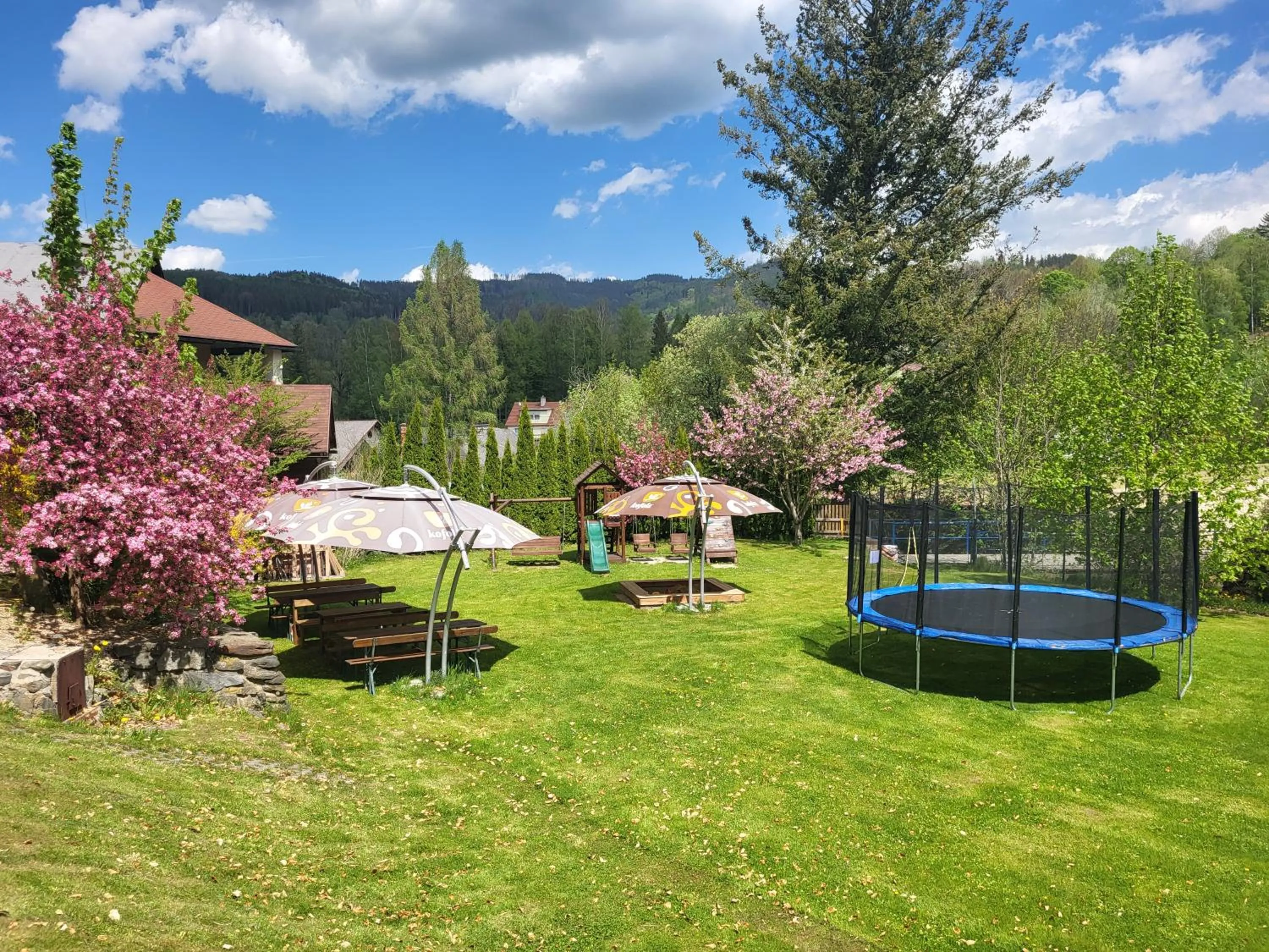Natural landscape in Hotel STARÝ MLÝN