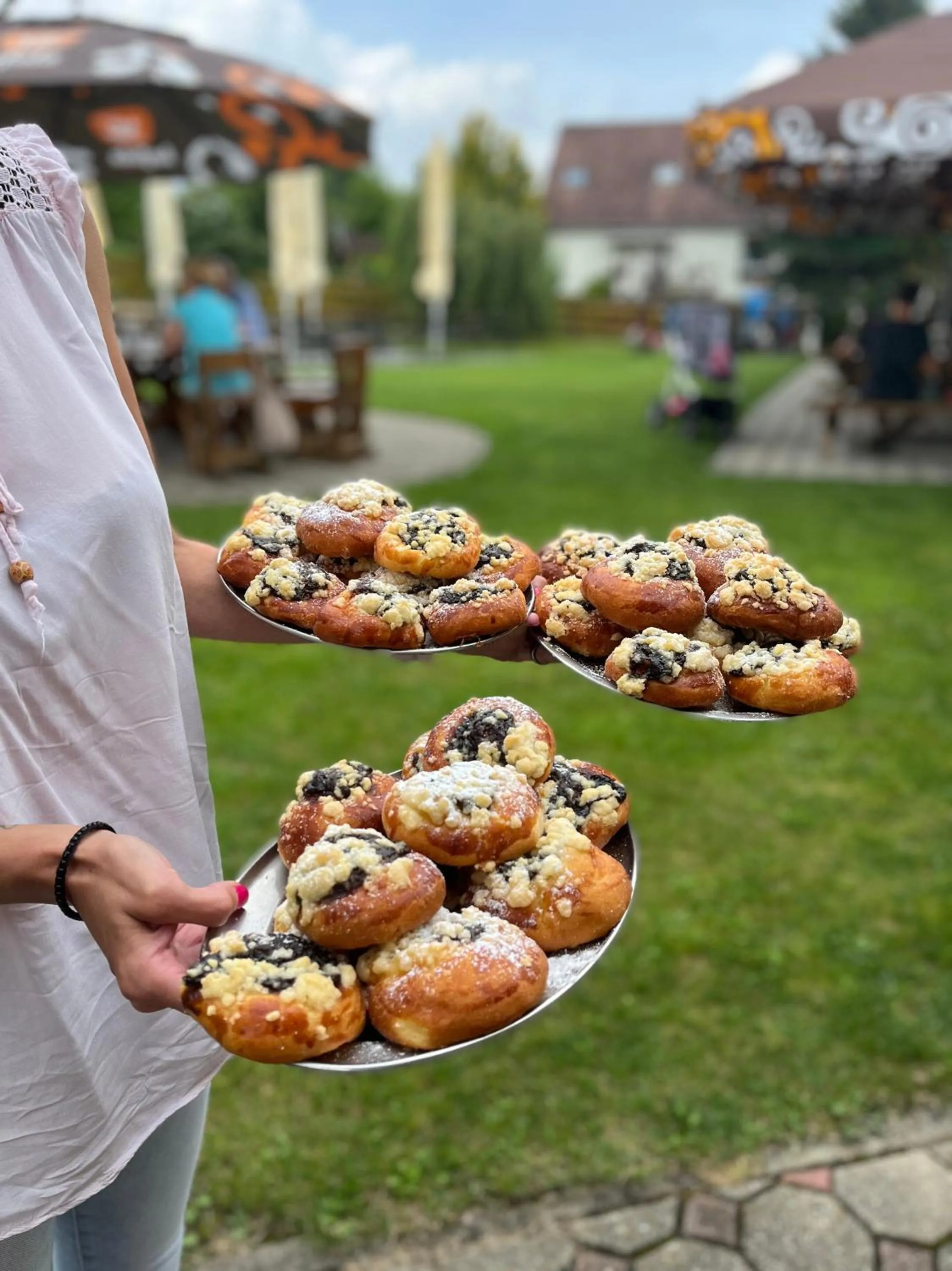 Restaurant/places to eat in Hotel STARÝ MLÝN