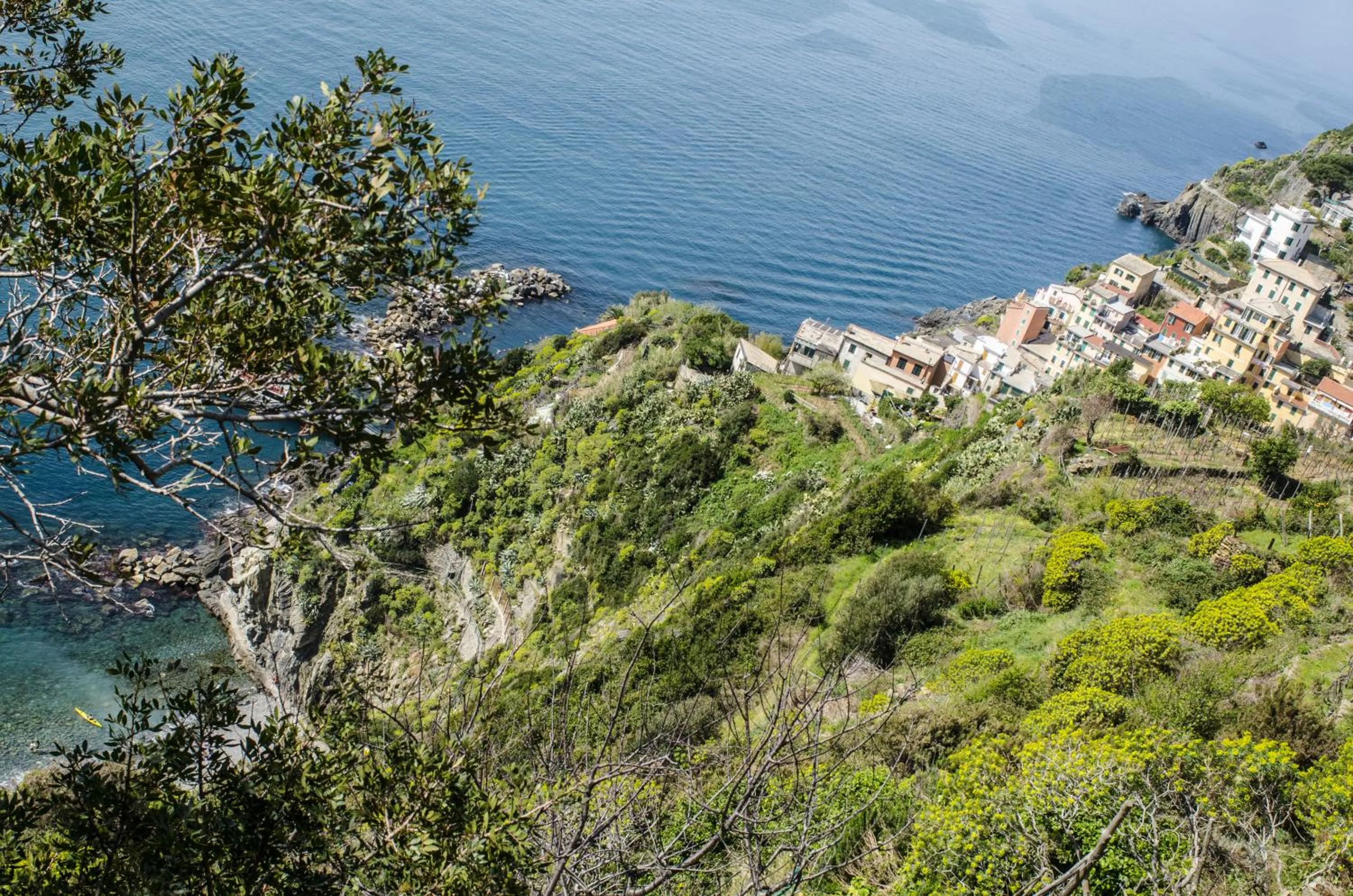 Bird's eye view in Hotel Villa Argentina