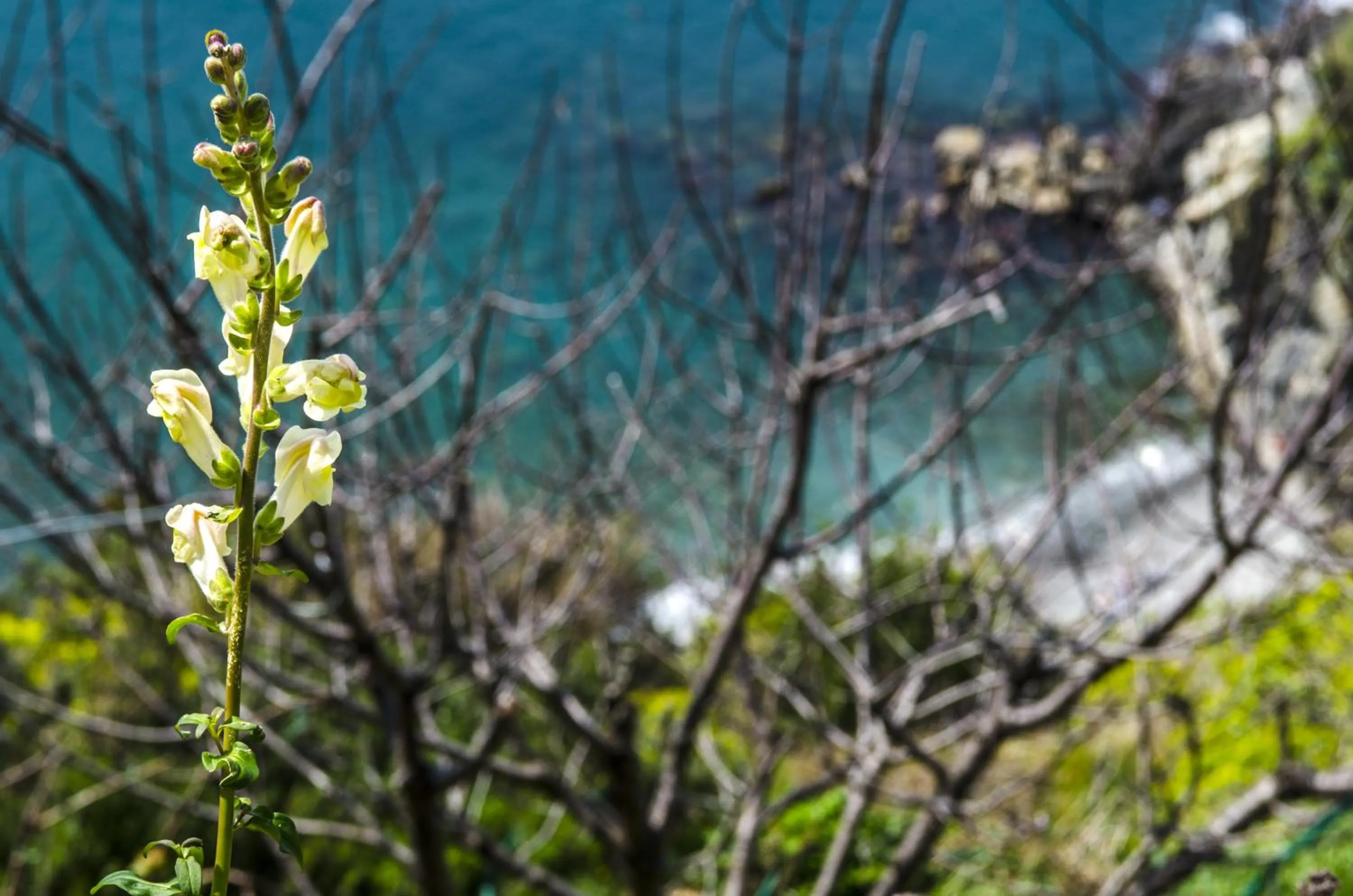 Other in Hotel Villa Argentina