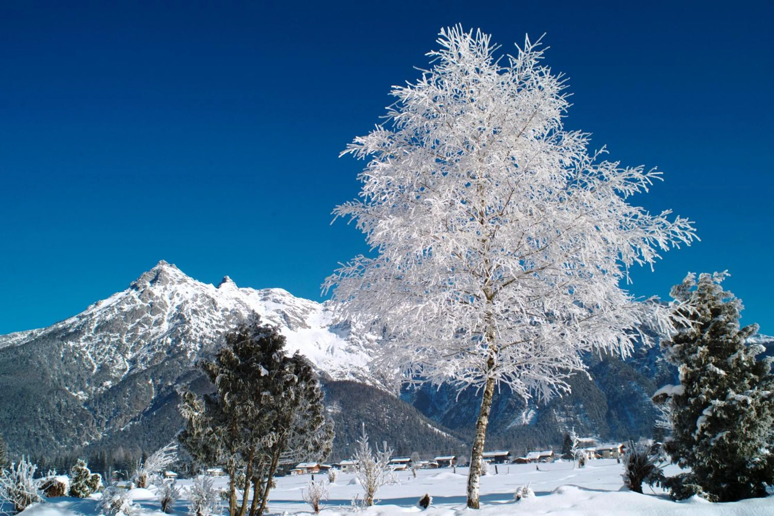 Natural landscape in Landhotel Strasserwirt