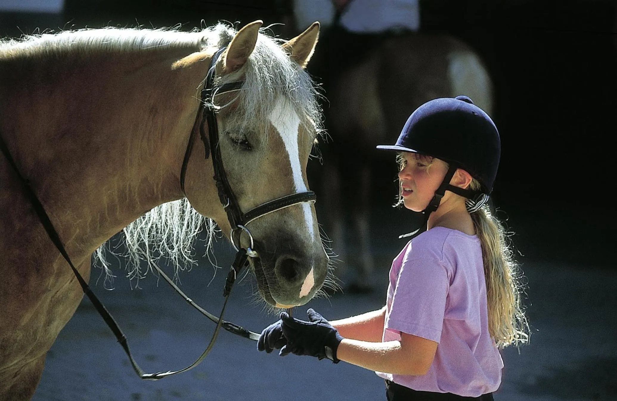 Horse-riding in Landhotel Strasserwirt