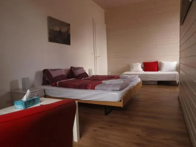 Bed in Hôtel Garni Villa Carmen