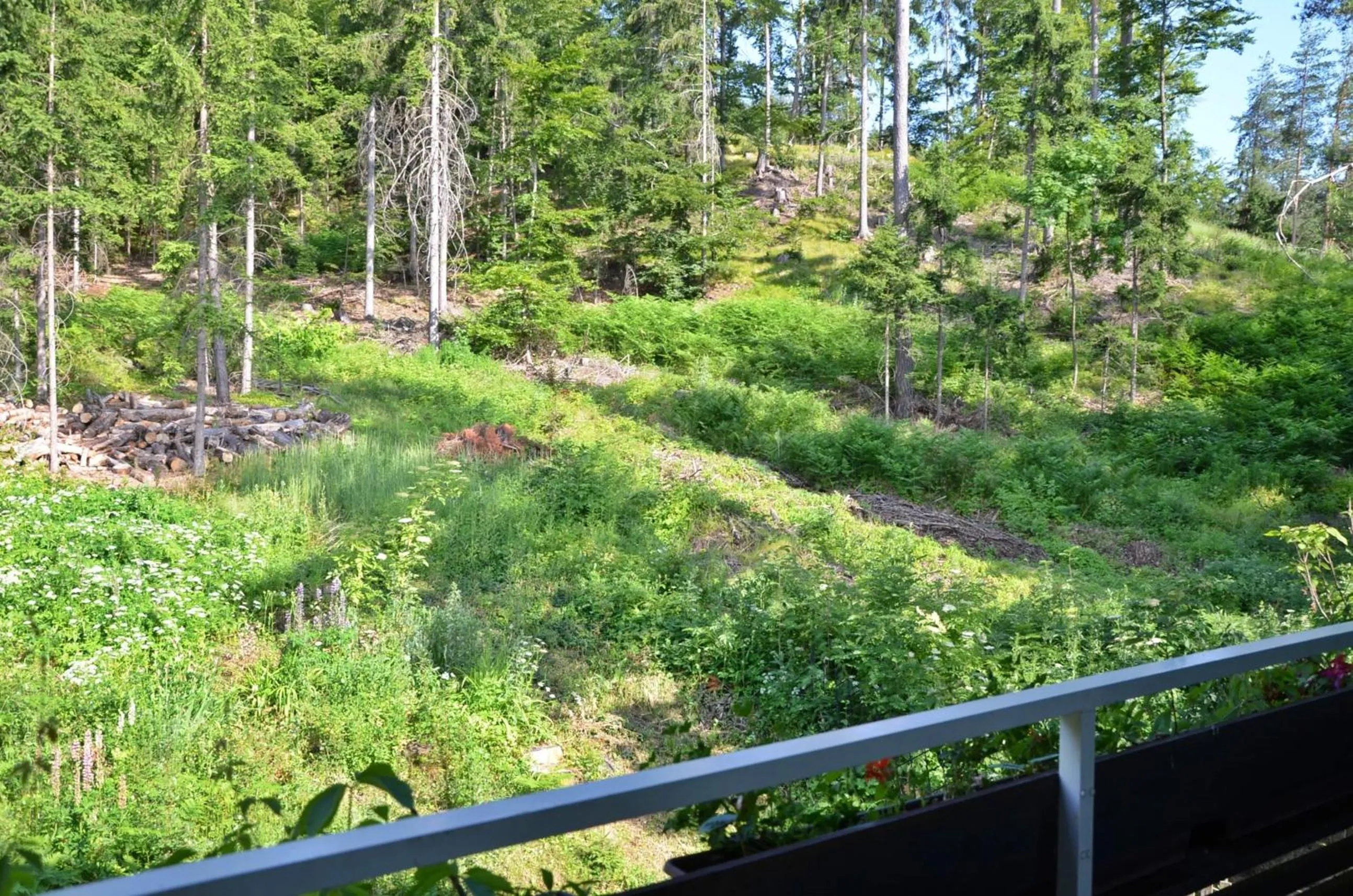 Balcony/Terrace in Villa Desiree - Hotel Garni - Adults Only