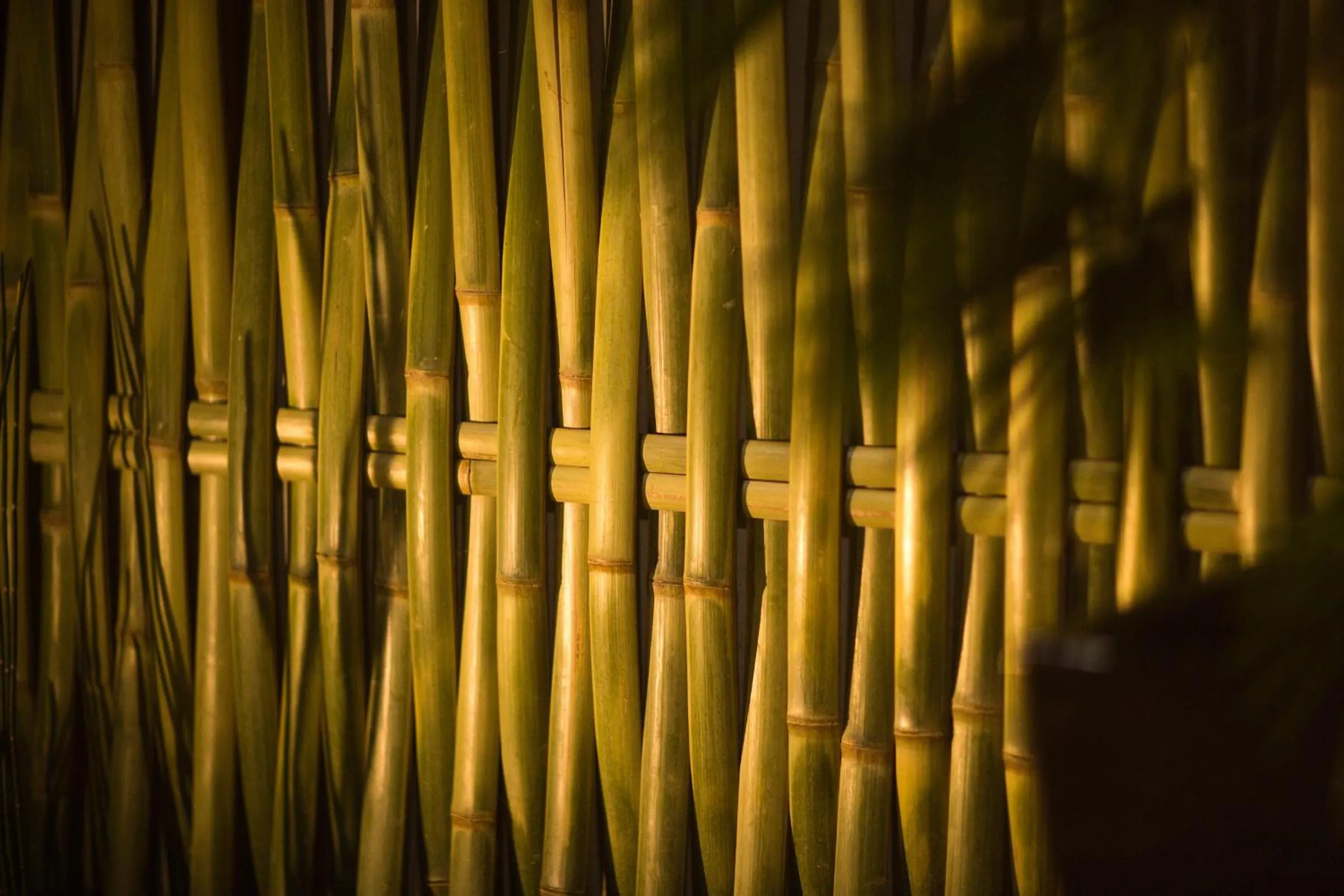 Area and facilities in Ryokan KANADE