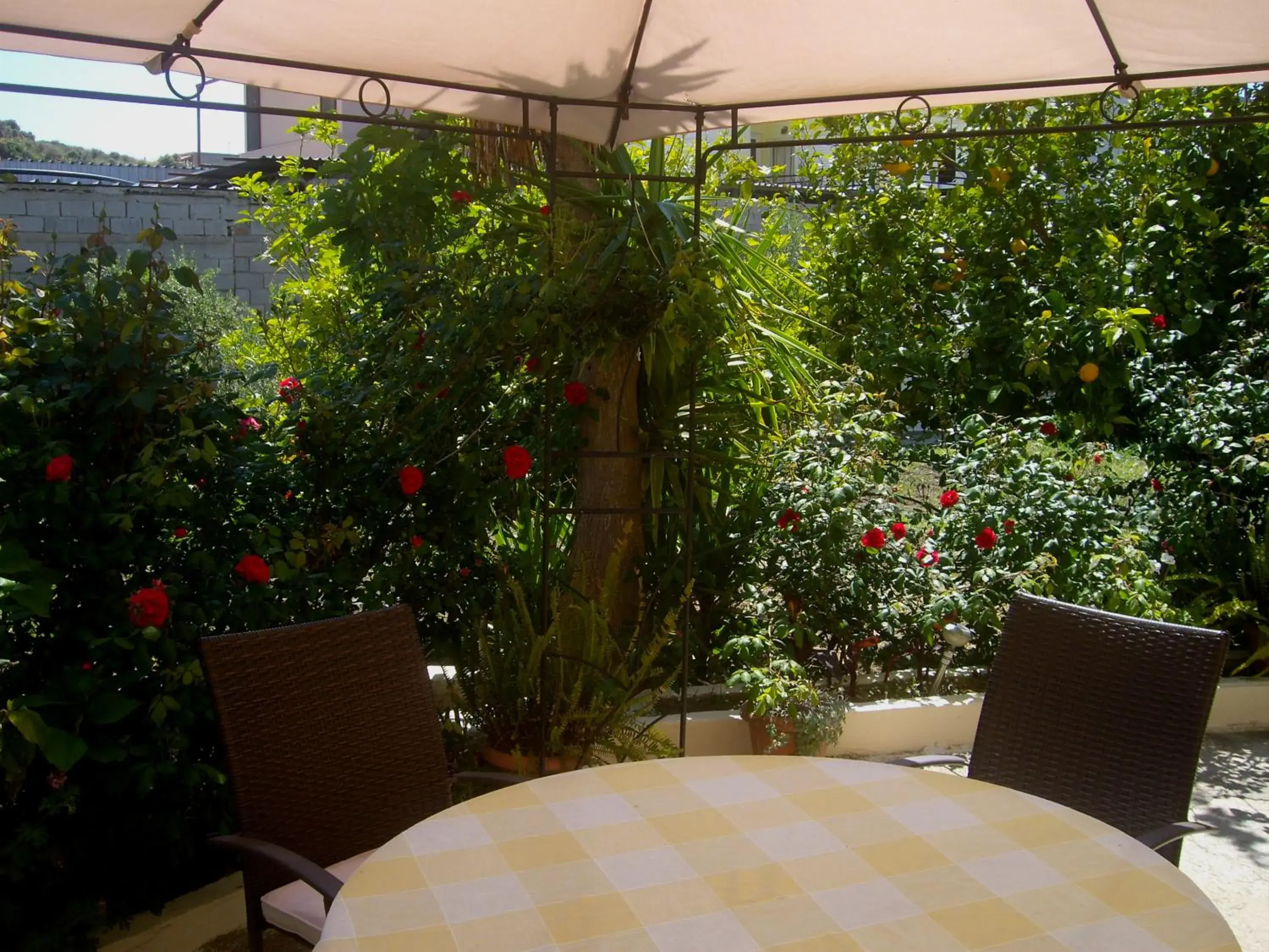 Standard Double Room in Hariklia Rent Rooms Standard Double Room in Hariklia Rent Rooms