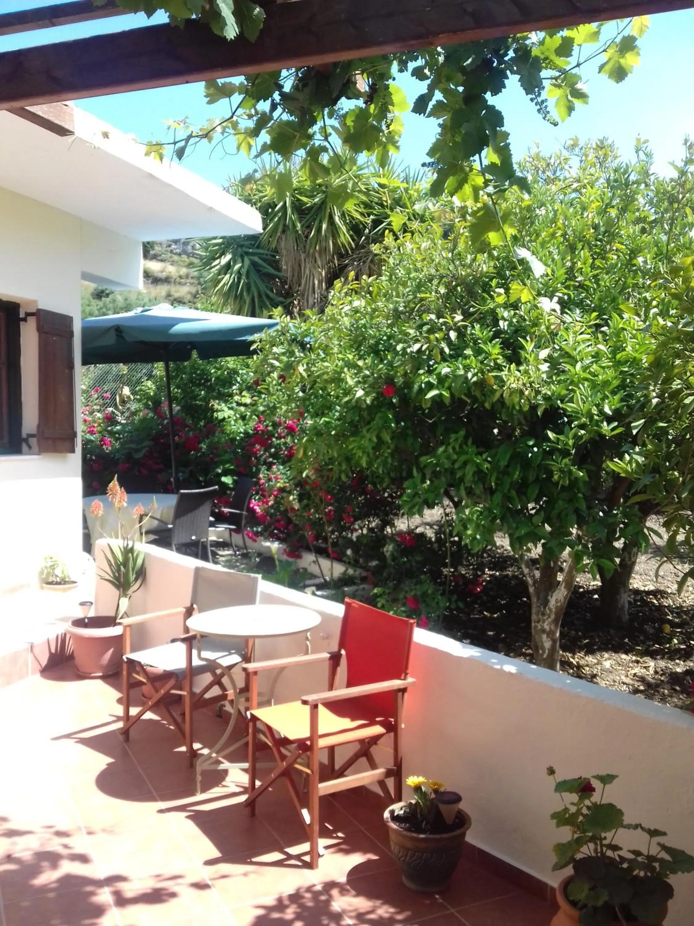 Garden in Hariklia Rent Rooms