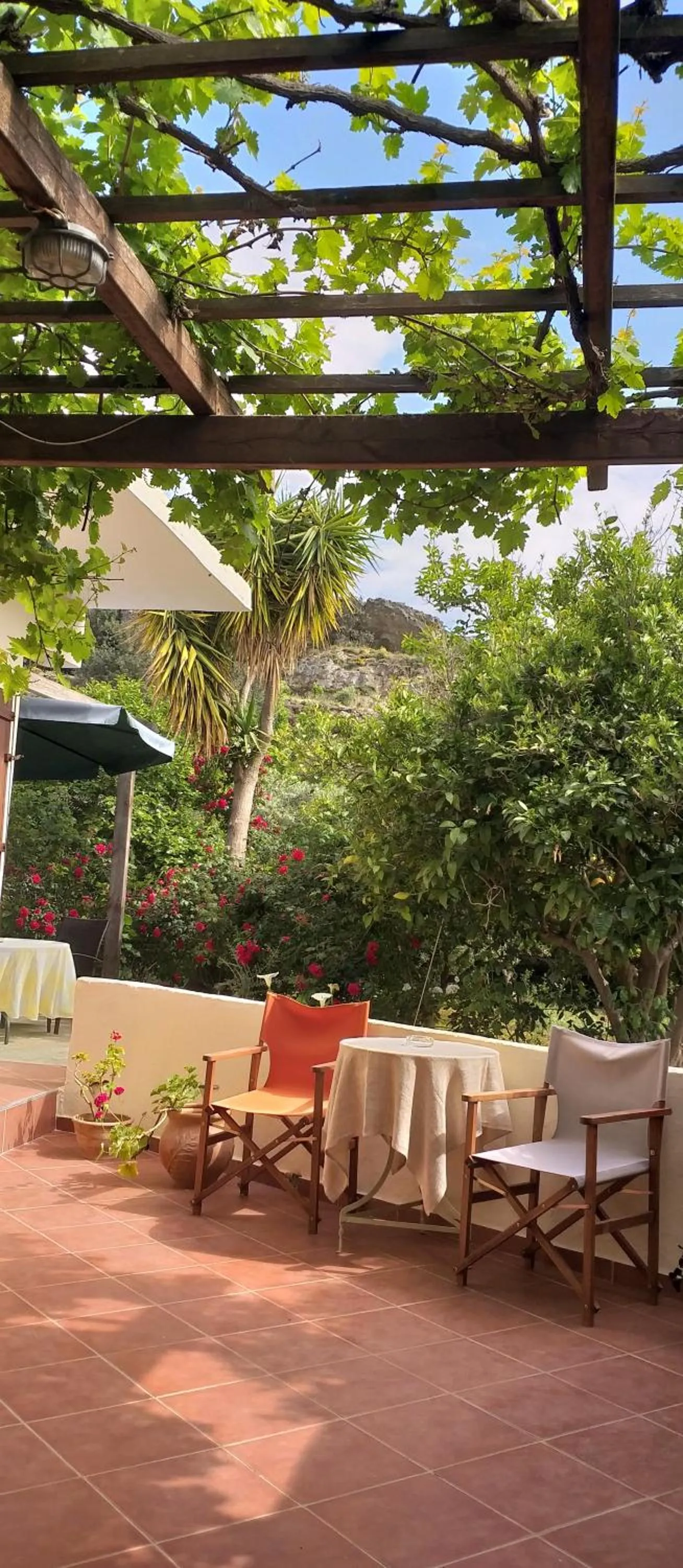 Garden view in Hariklia Rent Rooms