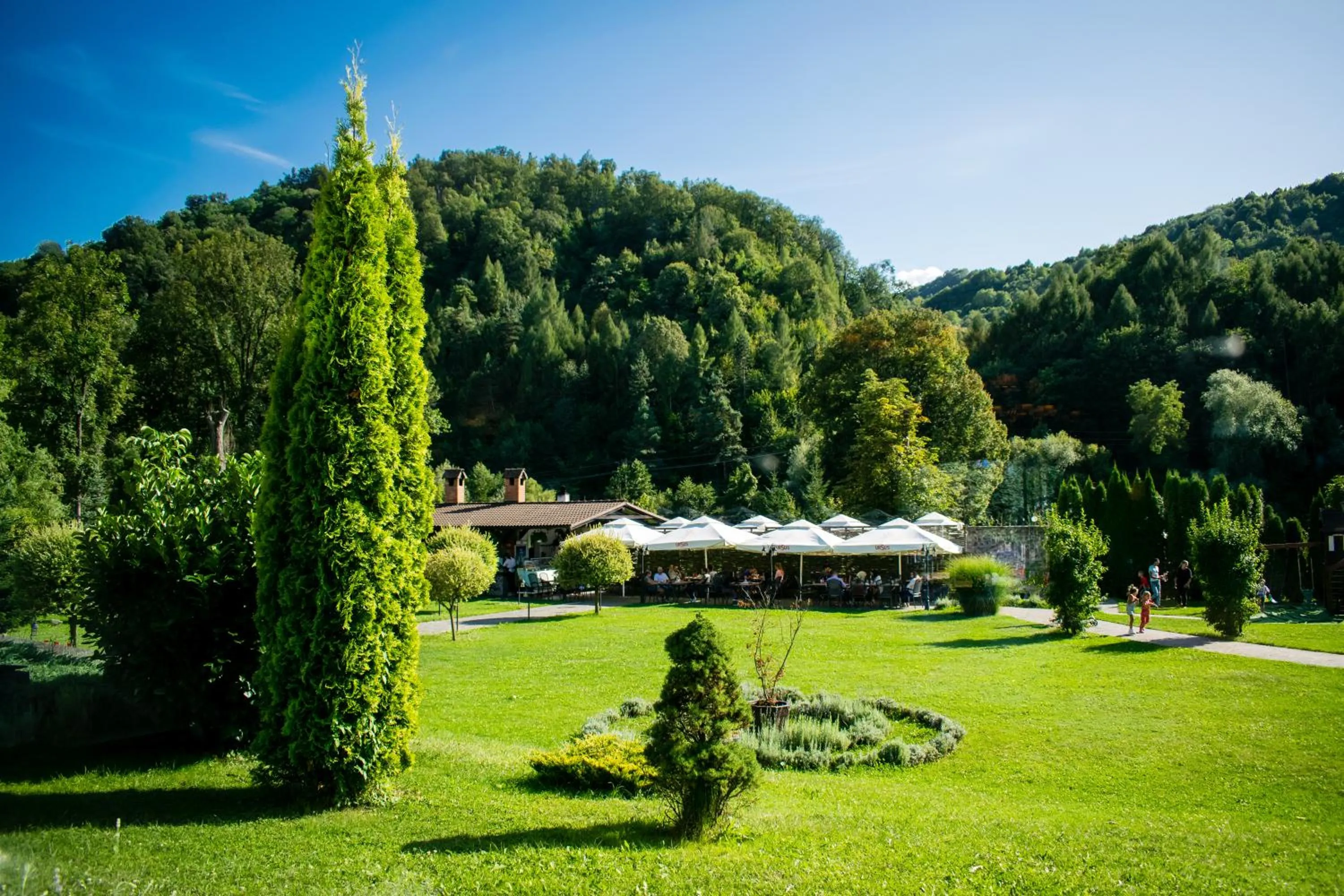 Garden in Hotel Gradina Morii