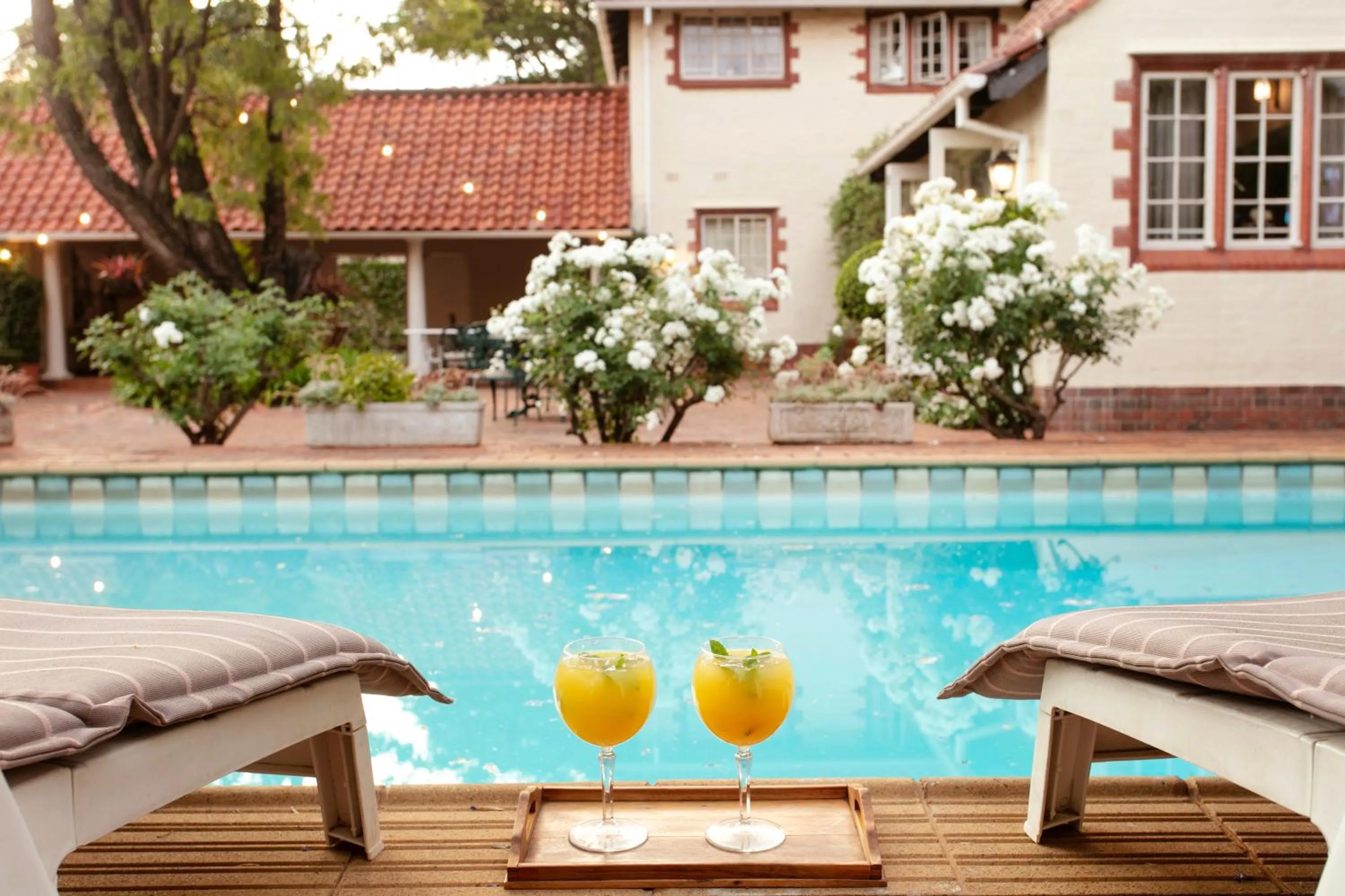 Swimming pool in Brooklyn Manor