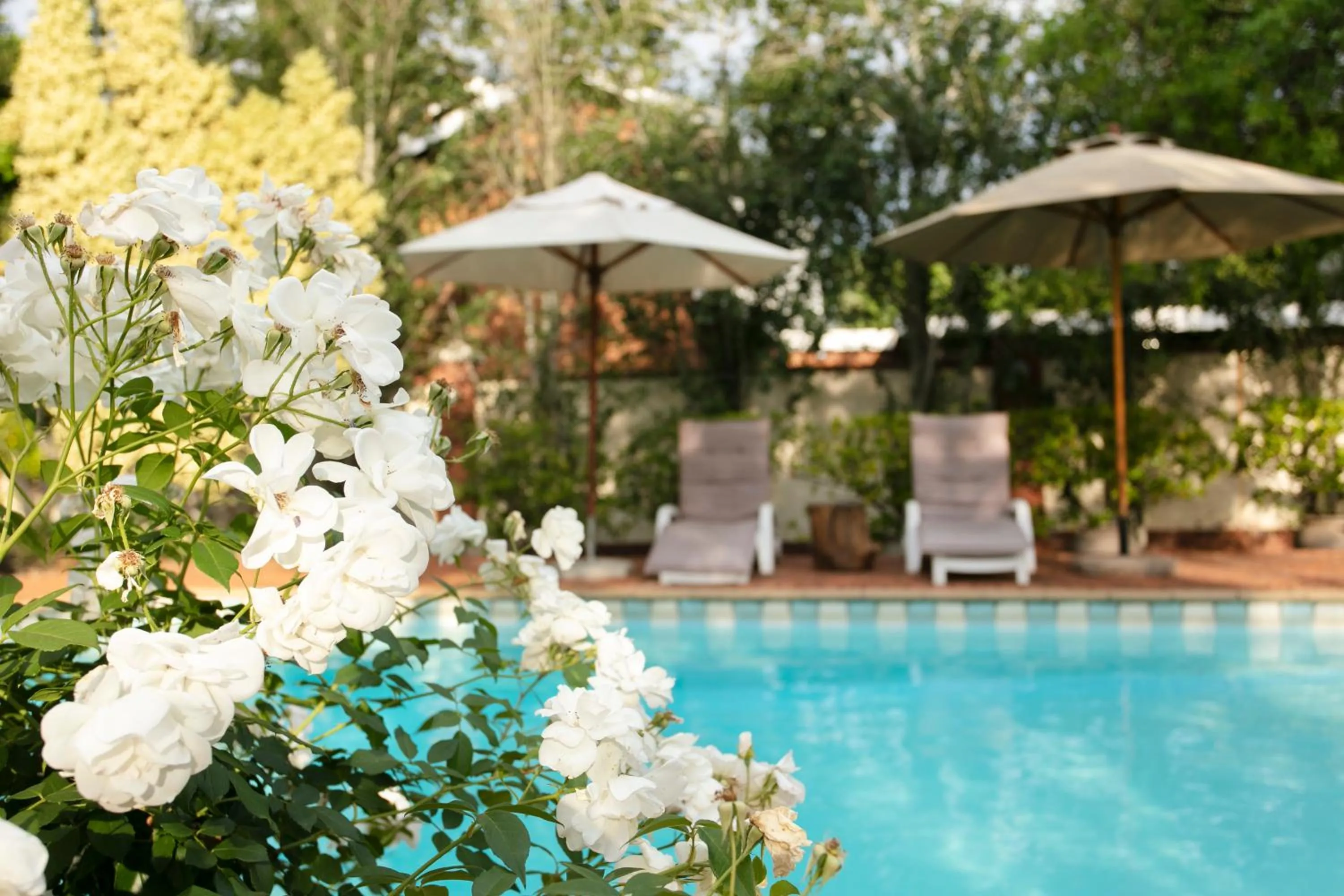 Garden in Brooklyn Manor