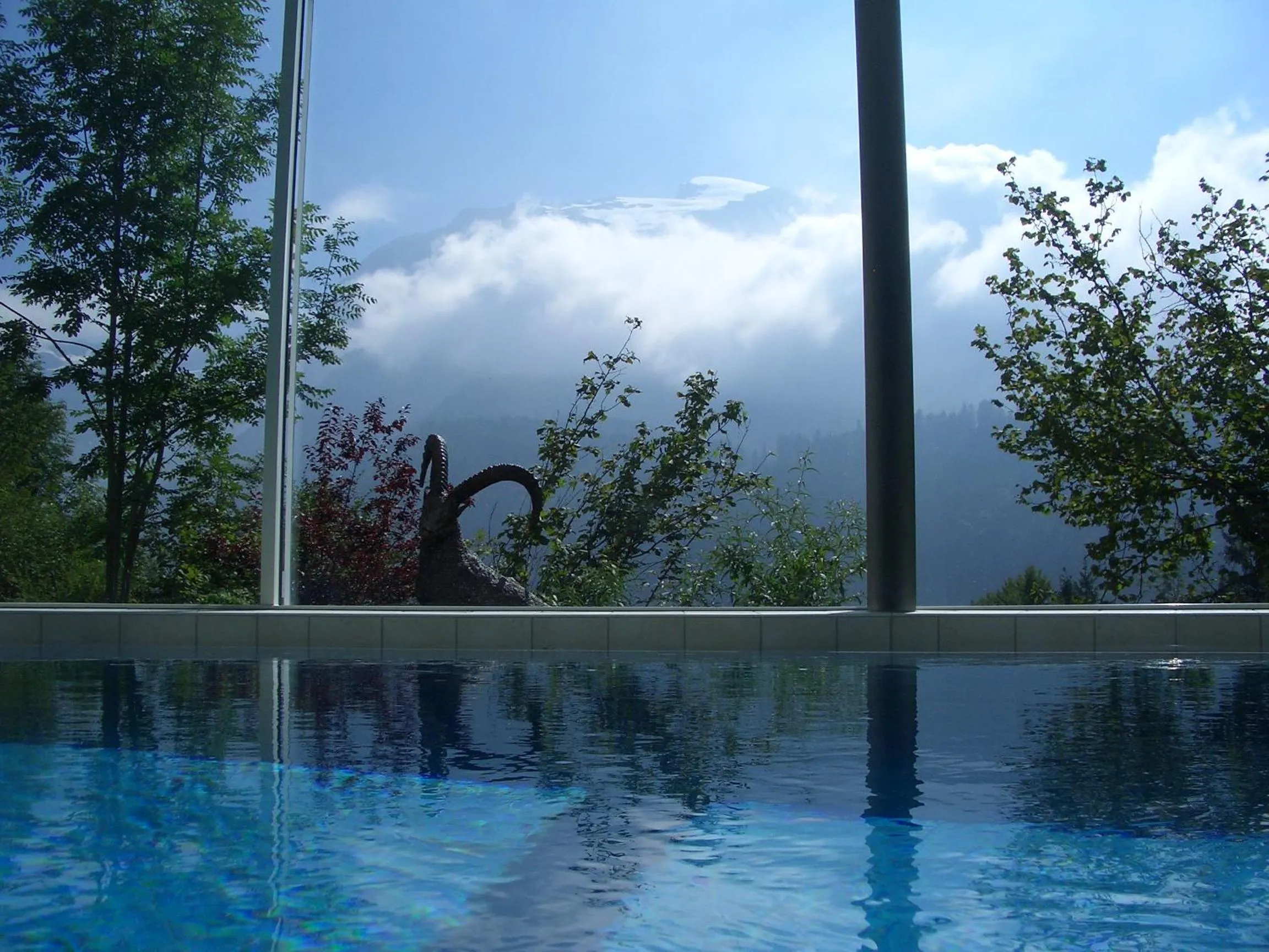 Summer in Hotel Waldegg - Adults only