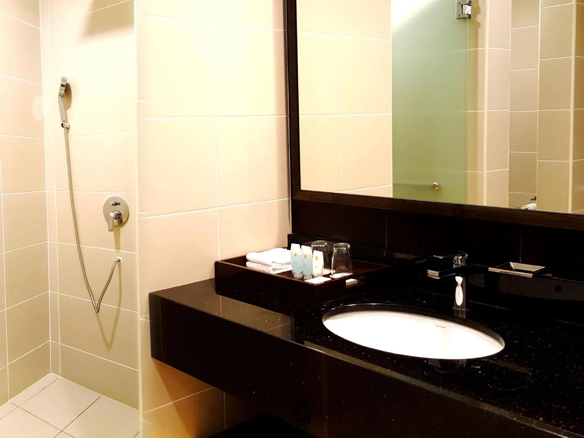 Bathroom in Copthorne Cameron Highlands