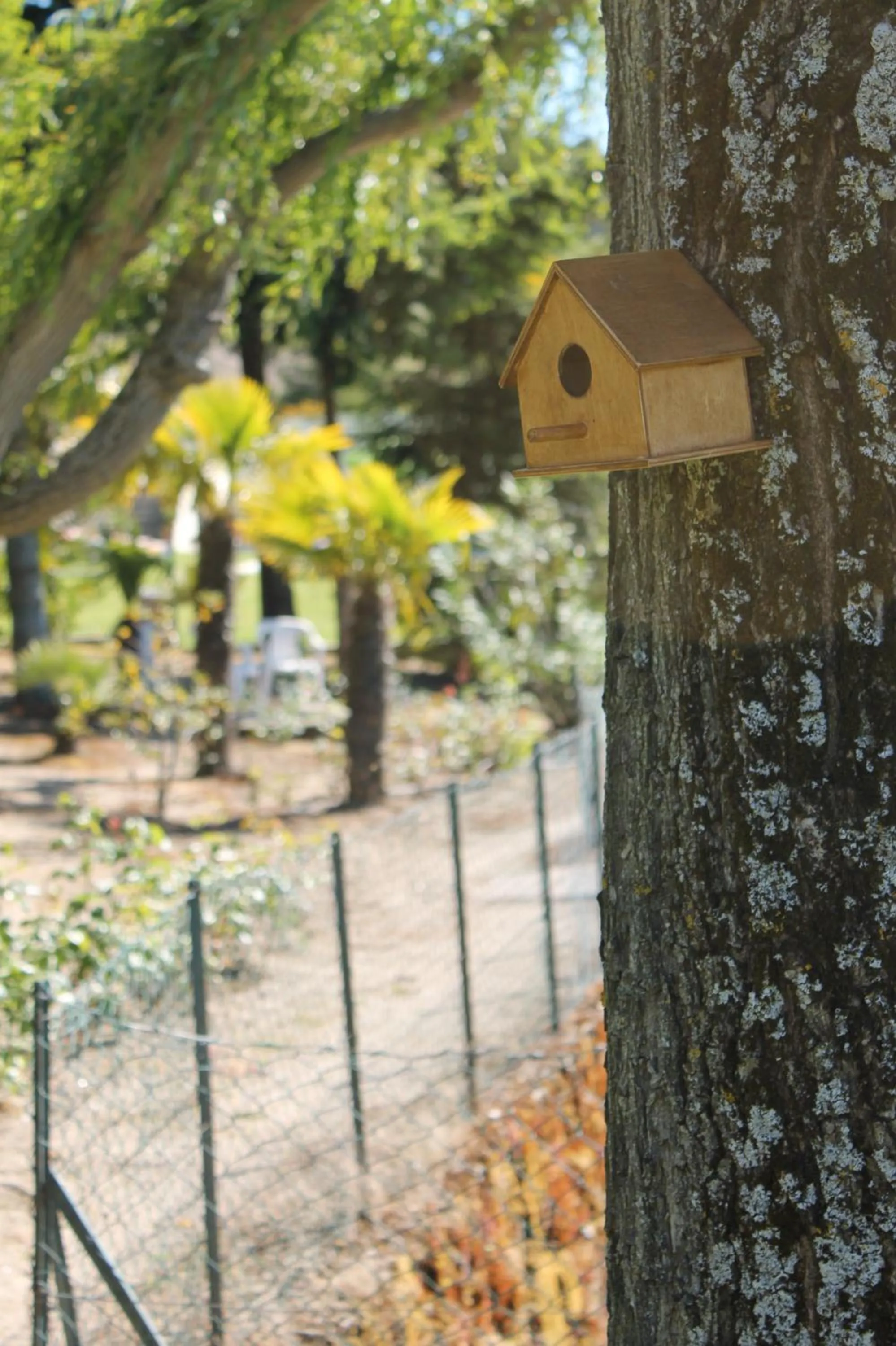 Garden in Quinta da Timpeira