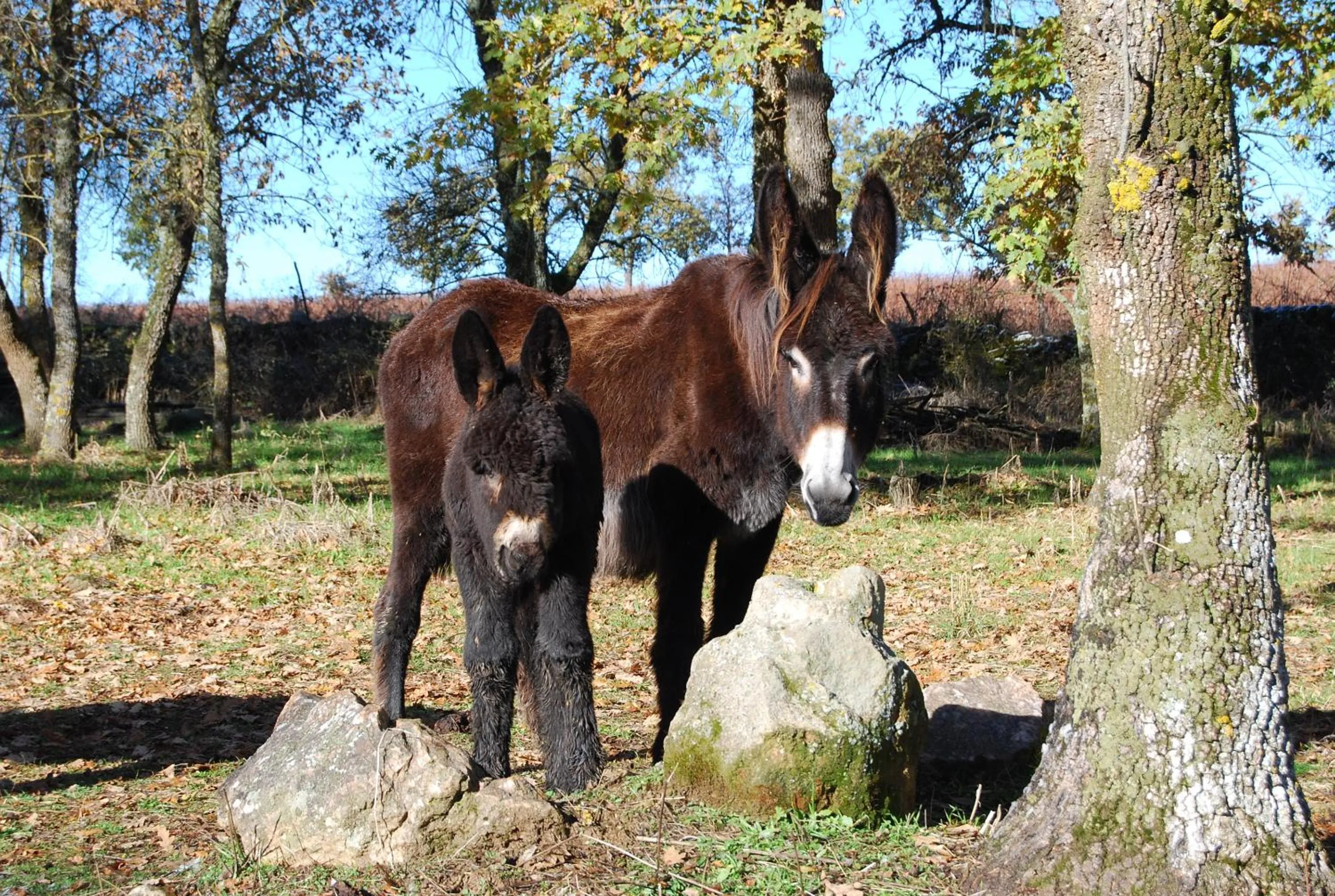 Activities in Casa da Cisterna