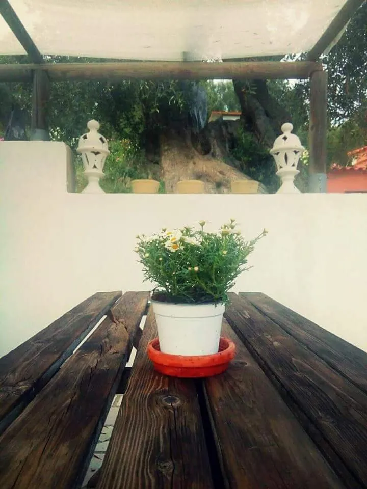 Borgo Degli Ulivi Rooms