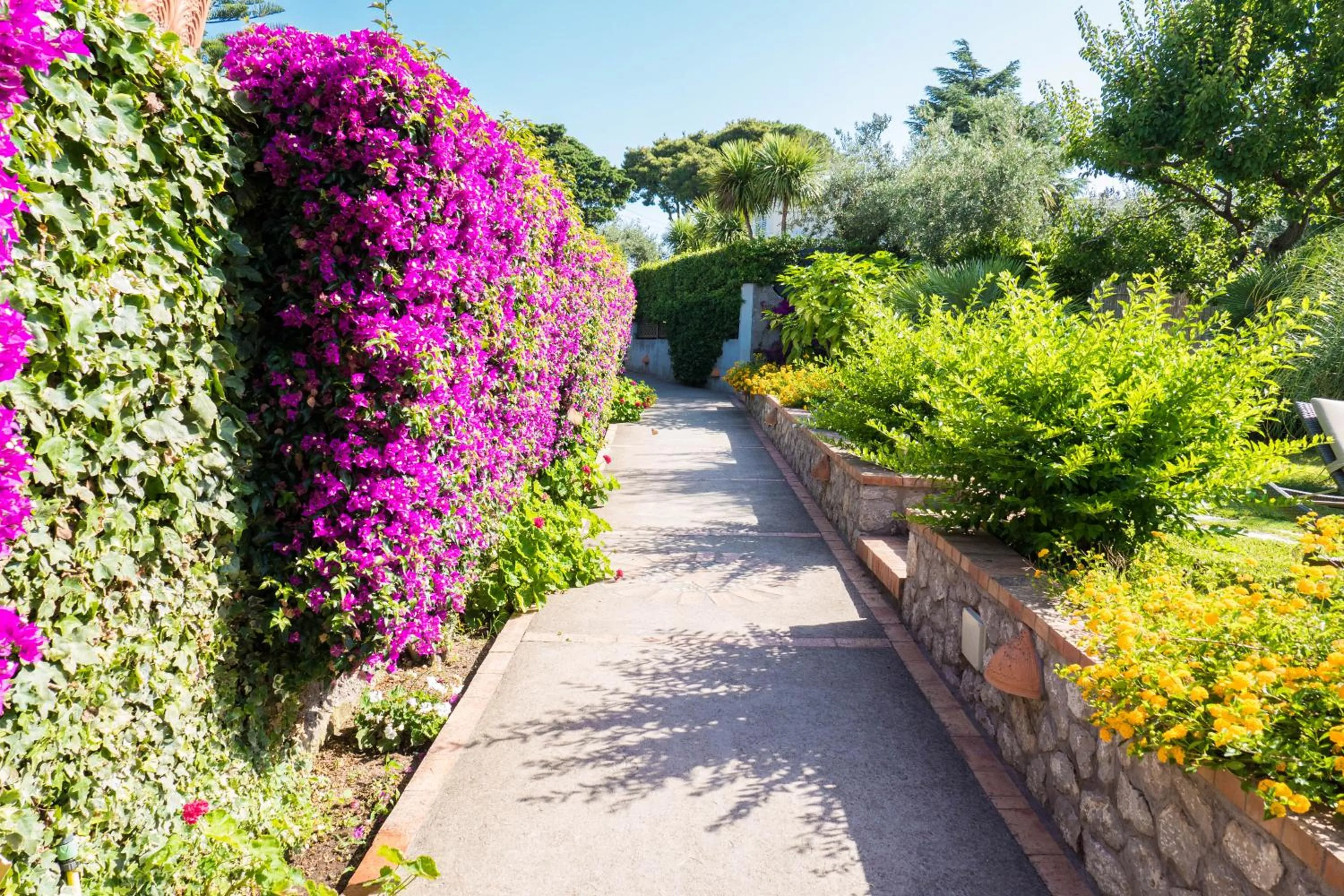 Other in Hotel Villa Ceselle