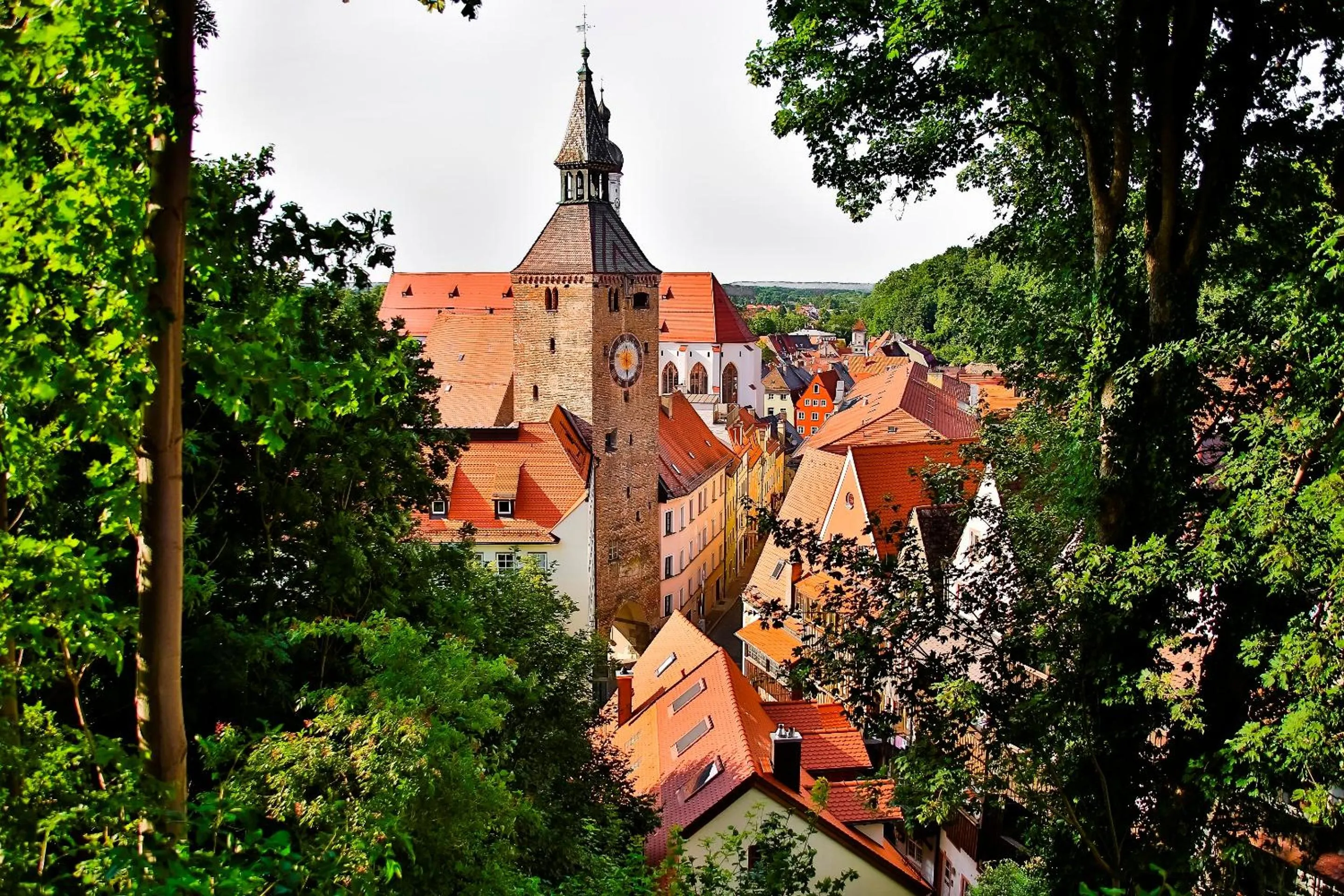 Area and facilities in Landhotel Endhart