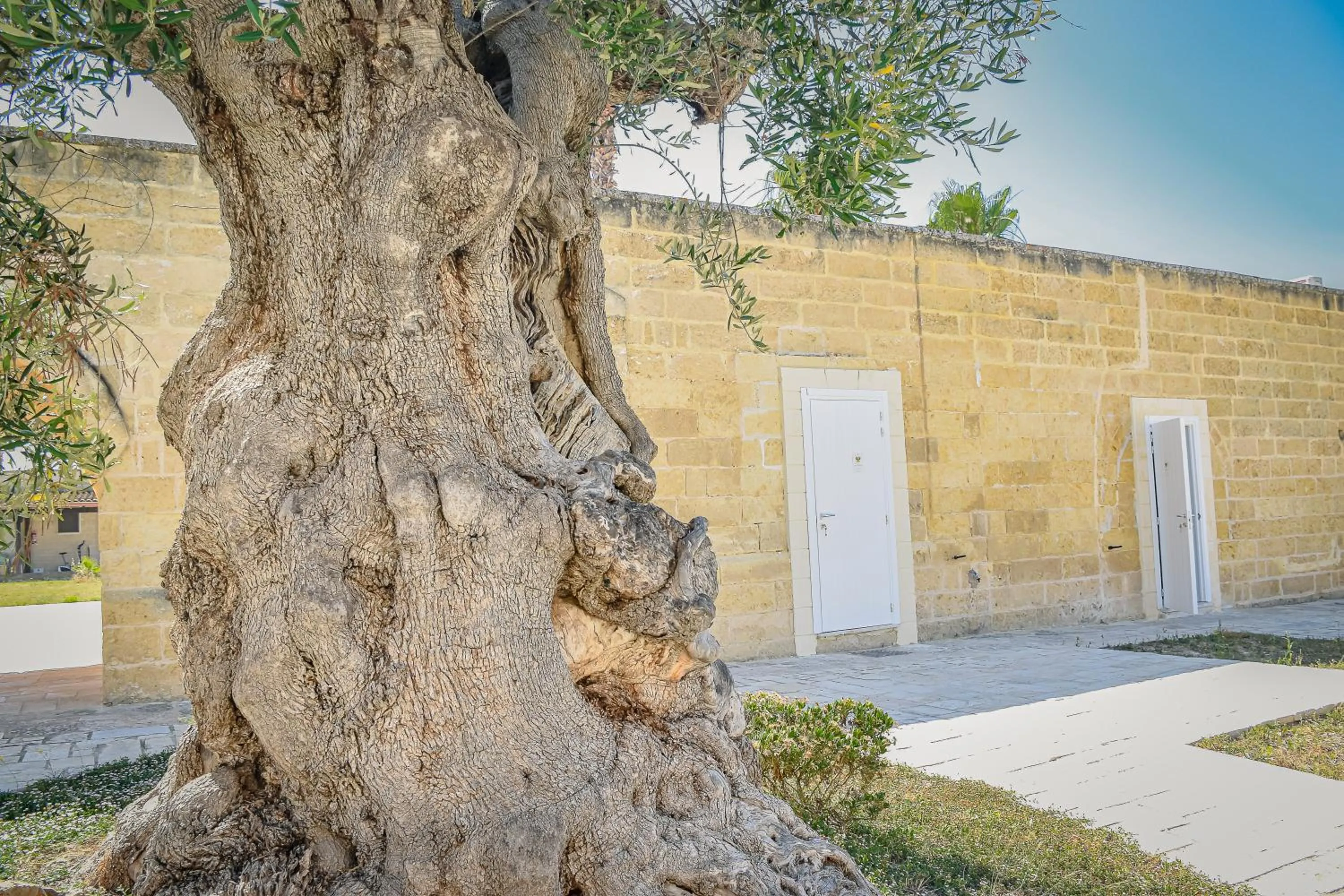 Inner courtyard view in Masseria Tenuta Quintino