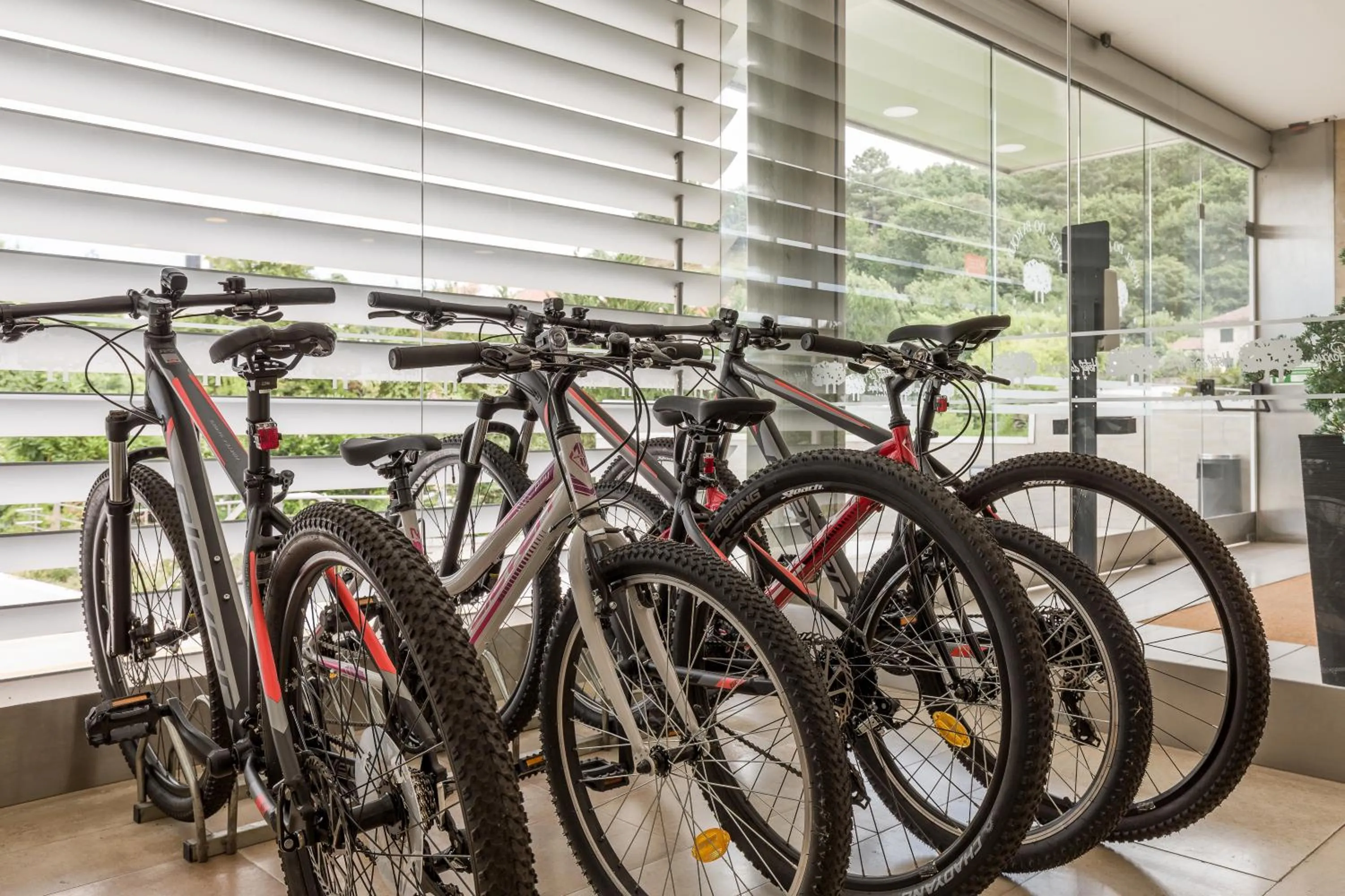 Activities in Hotel Do Parque - Congress & SPA