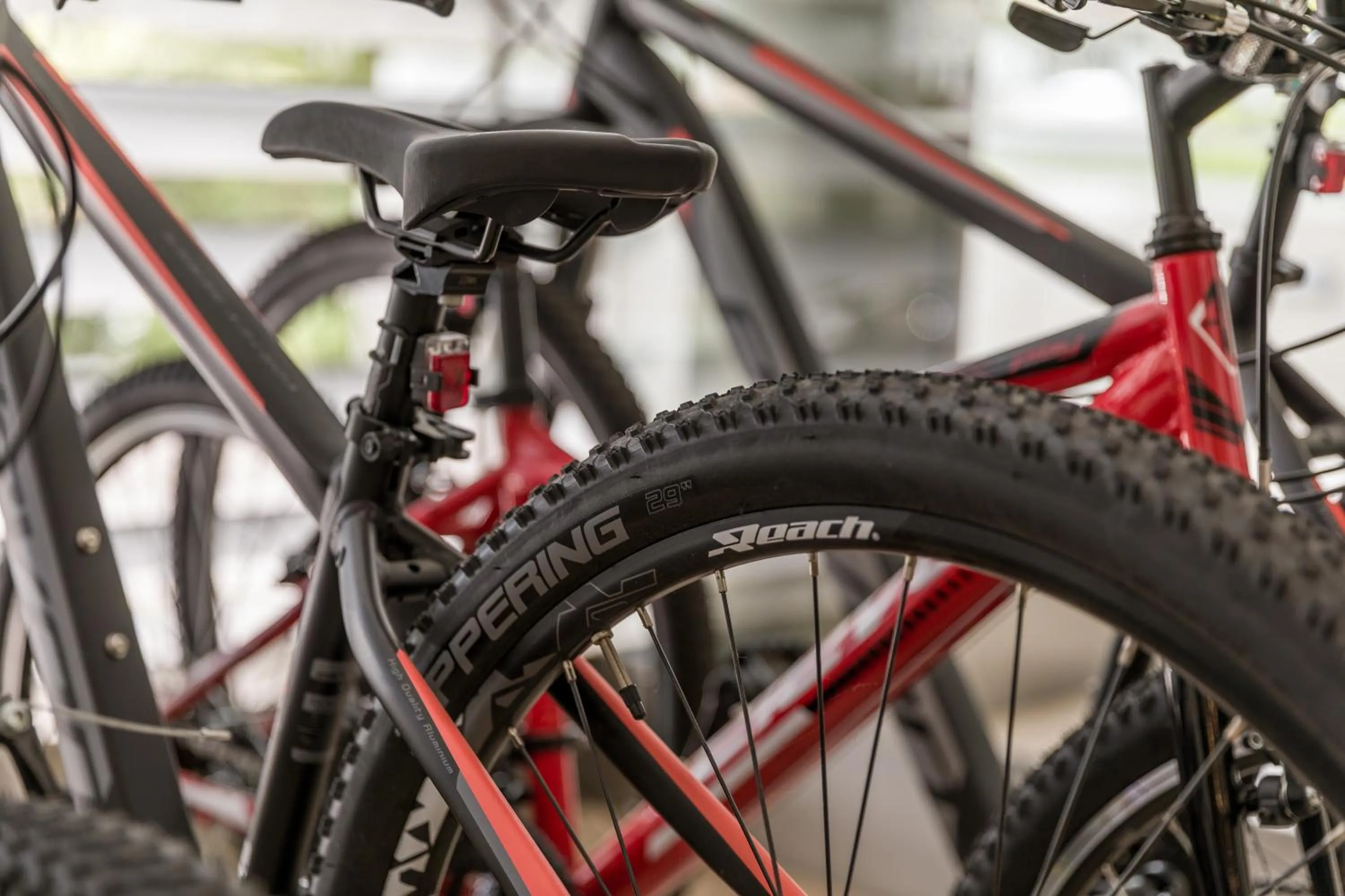 Activities in Hotel Do Parque - Congress & SPA