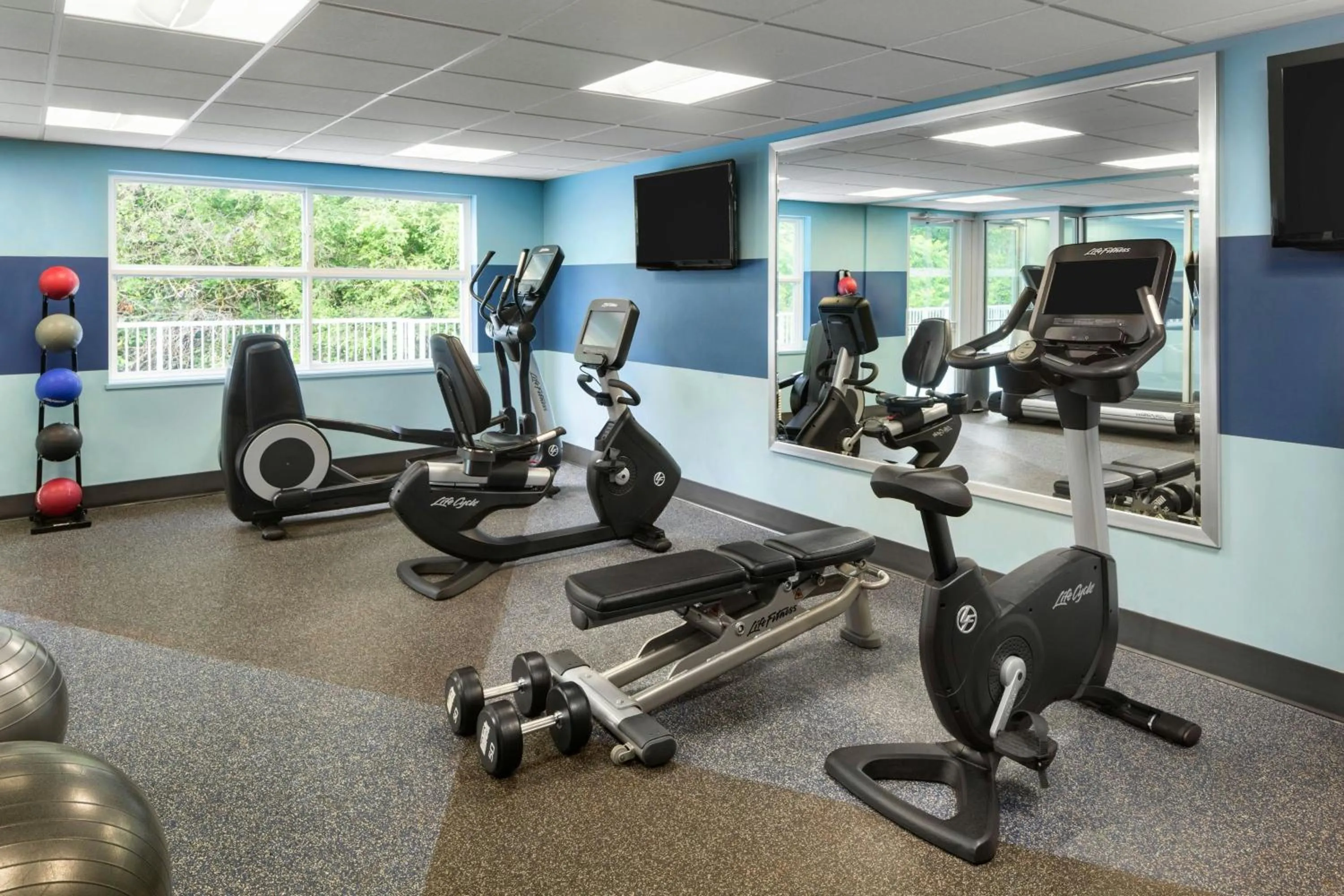 Fitness centre/facilities in Four Points by Sheraton Surrey