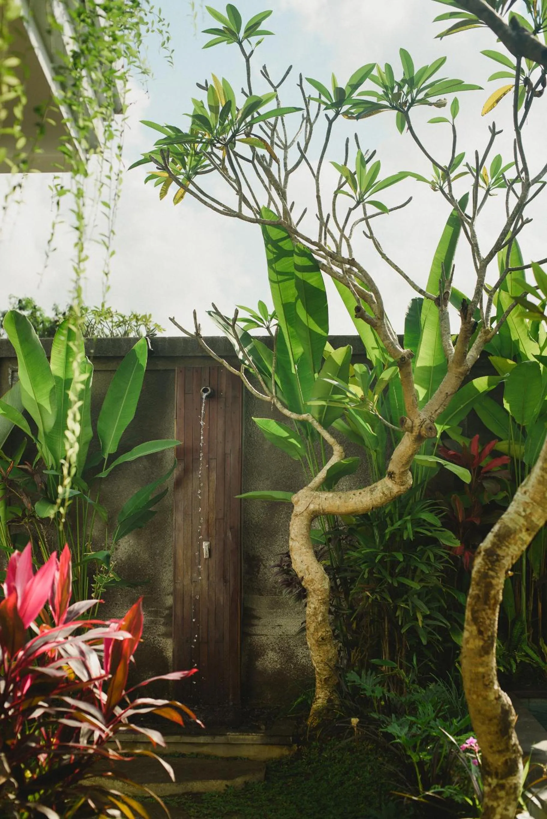 Property building in Taman Amartha Hotel