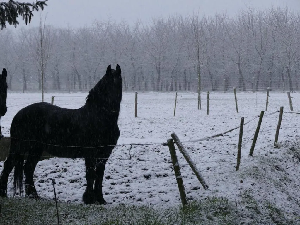 Neighbourhood, Winter in Spacious Apartment near Town Center in Mesch