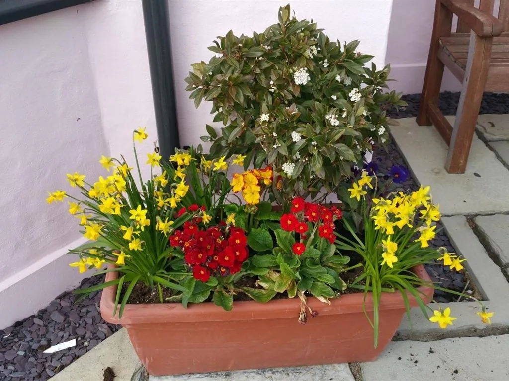 Property building in Y Garth B&B