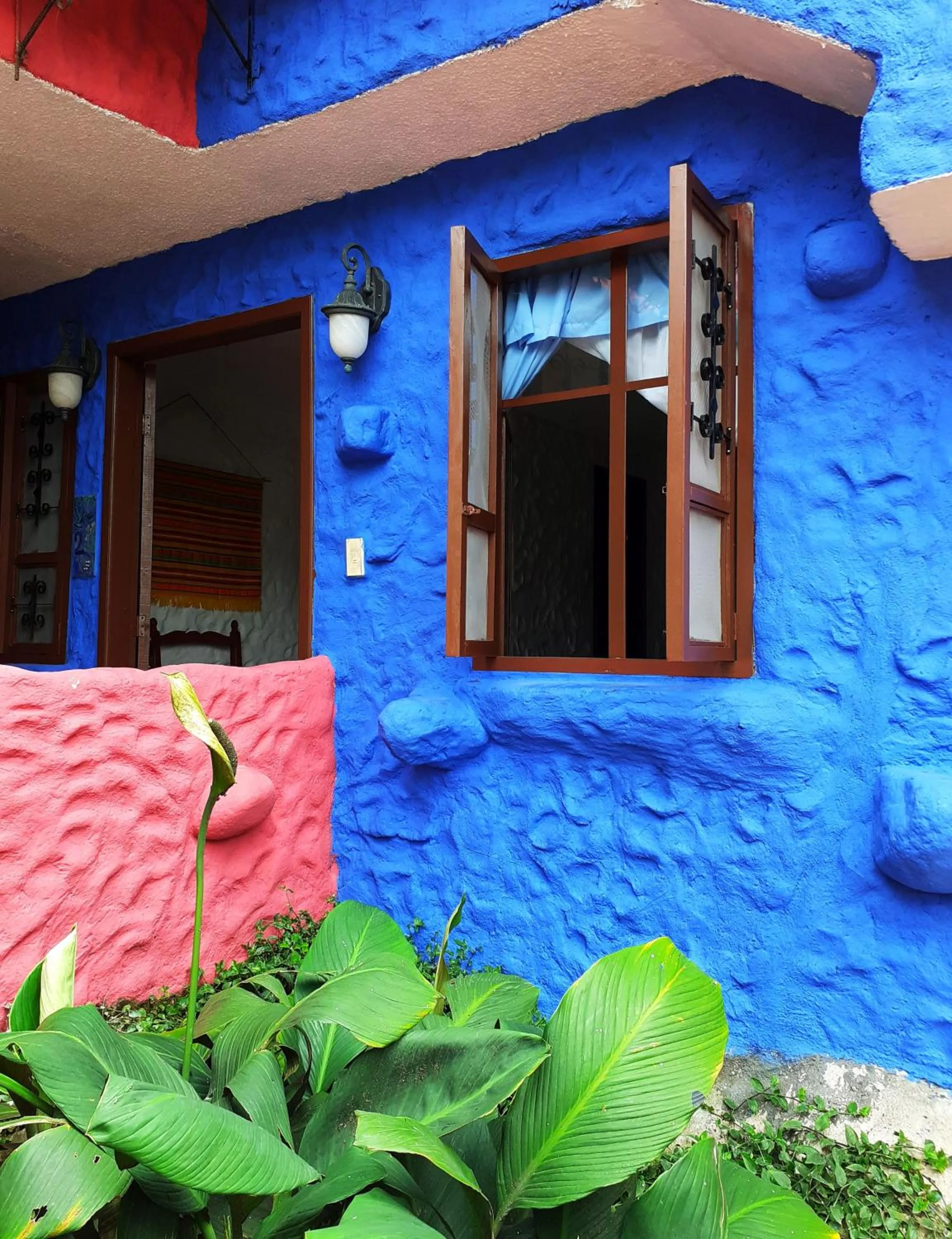 Patio in CasKaffeSu Hotel and Restaurant Mindo