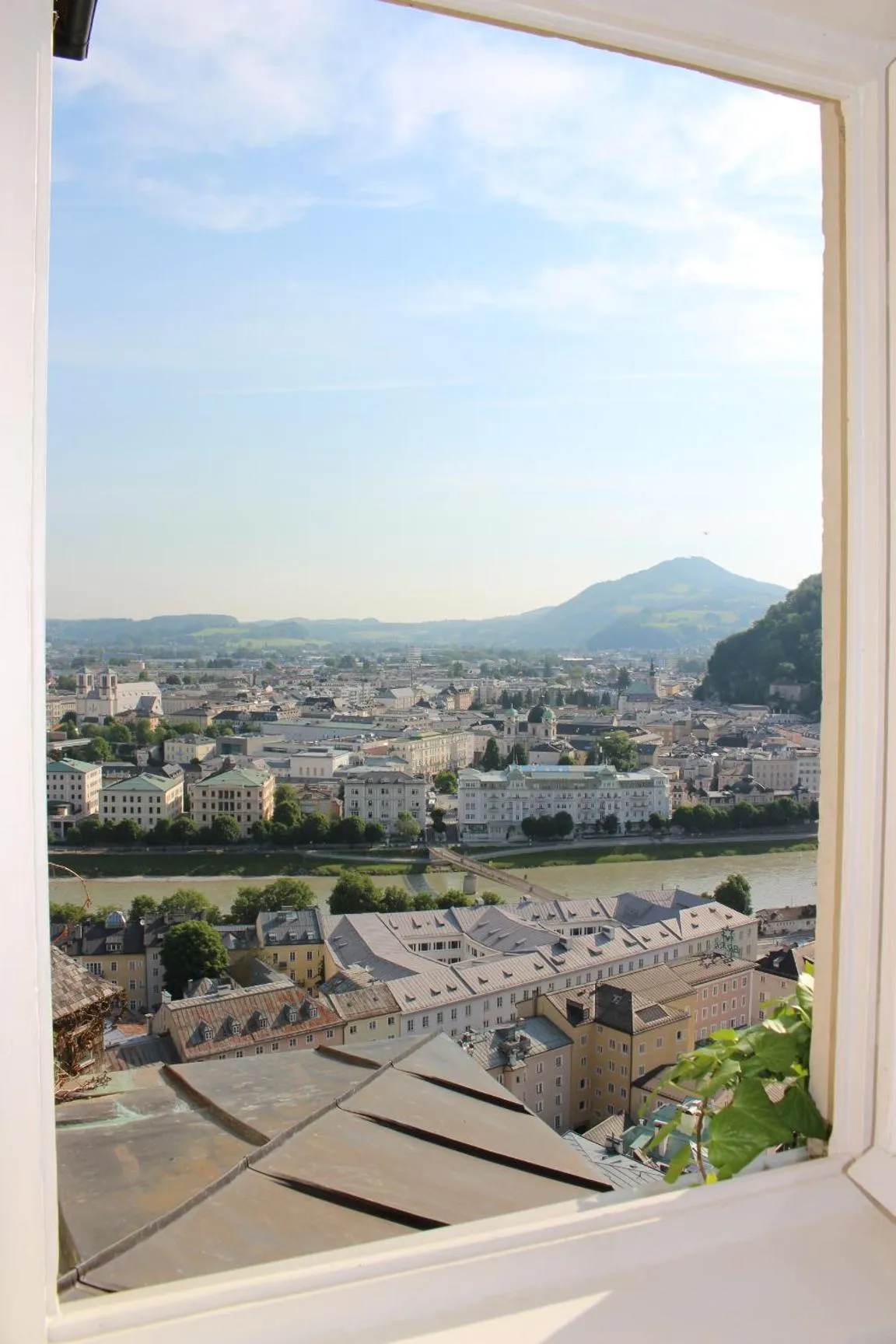 View (from property/room) in Stadtalm Naturfreundehaus