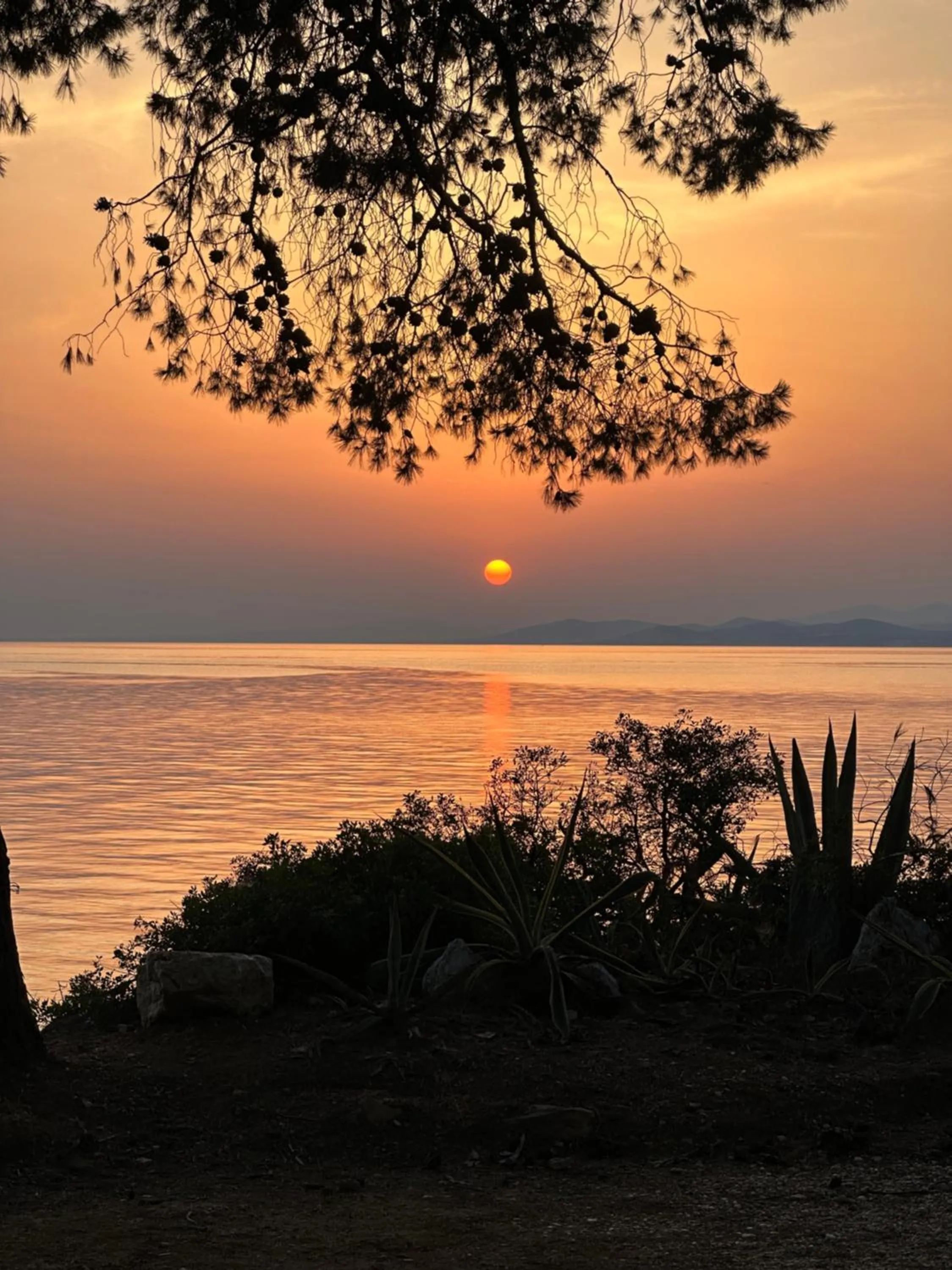 Beach in Agrili Apartments & Rooms