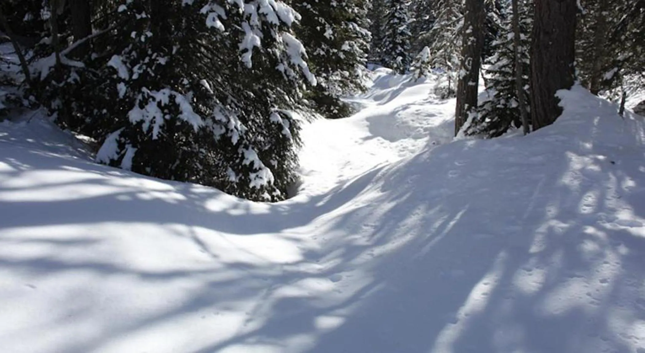 Natural landscape in Hotel Meisules