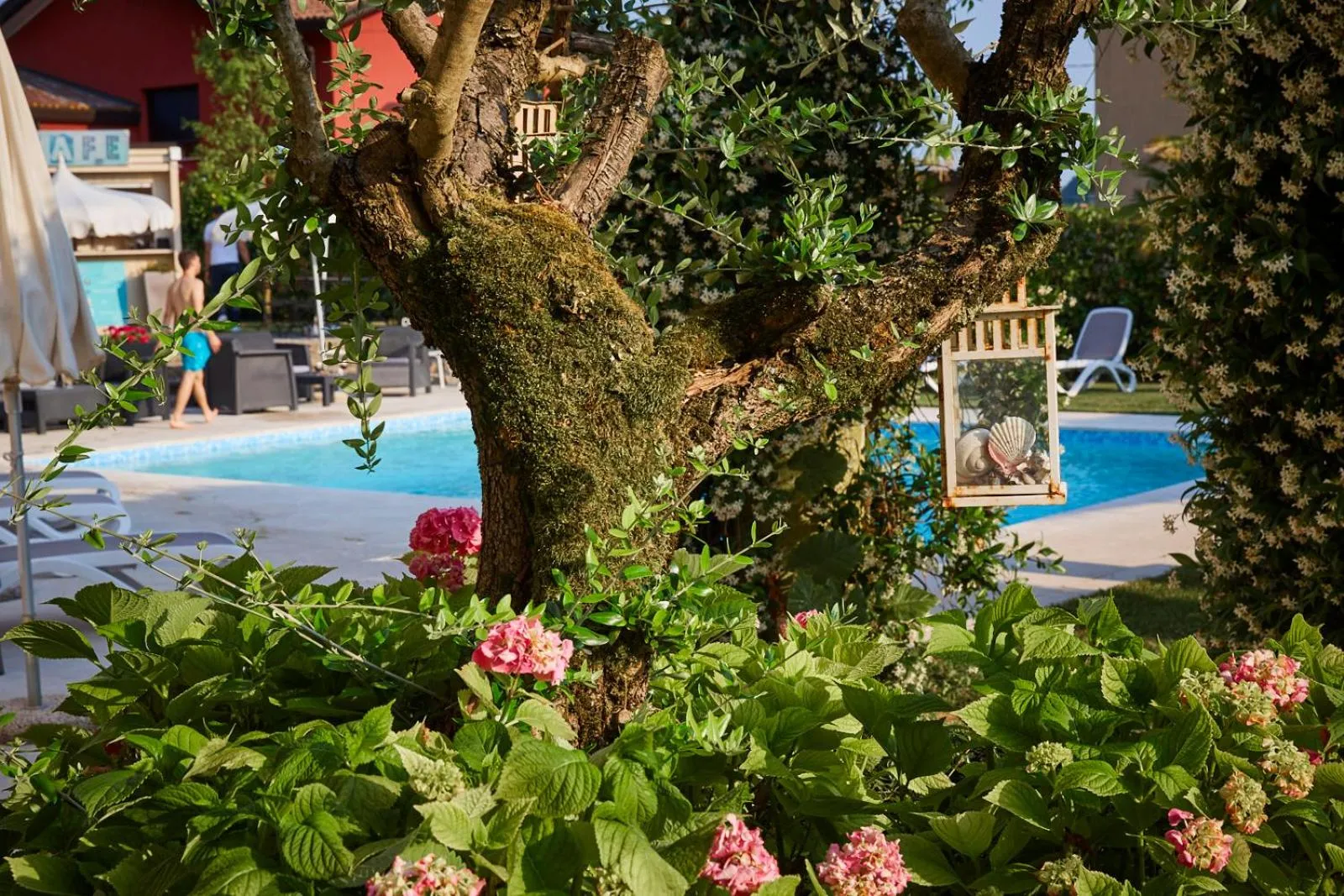 Garden in Hotel Villaguarda Prosecco Area